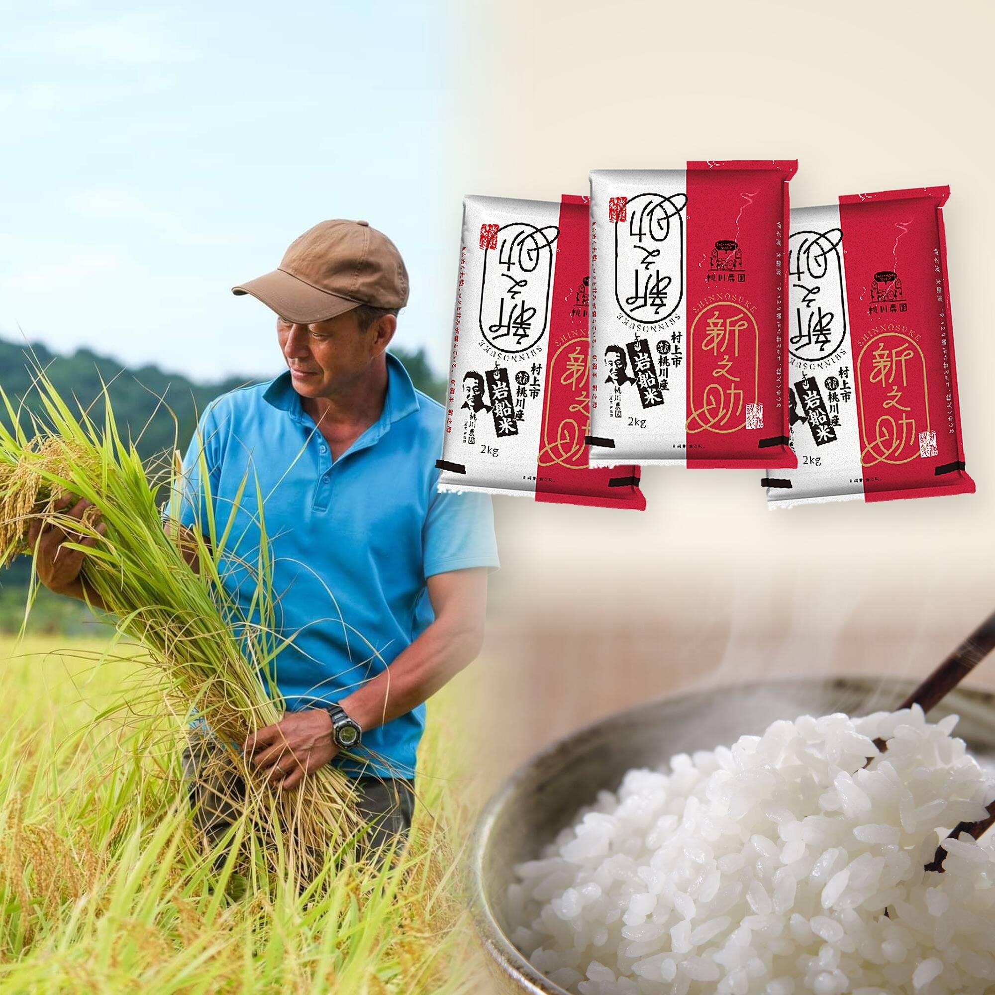 sakura。新之助。１等米。 新之助】令和8年産 岩船産 6kg （2㎏×3袋）特別栽培米｜JGAP認証 桃川