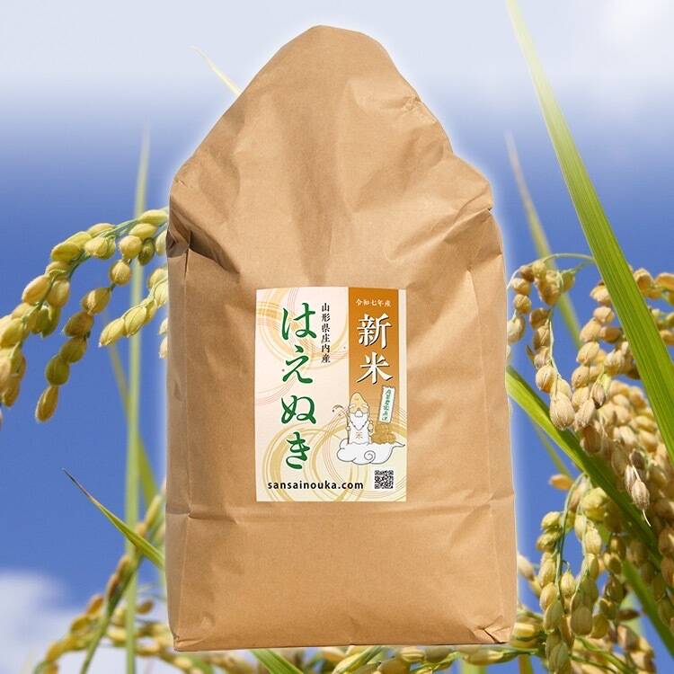 令和7年新米】はえぬき9.8キロ白米さっぱり食感！！：山形県産のお米