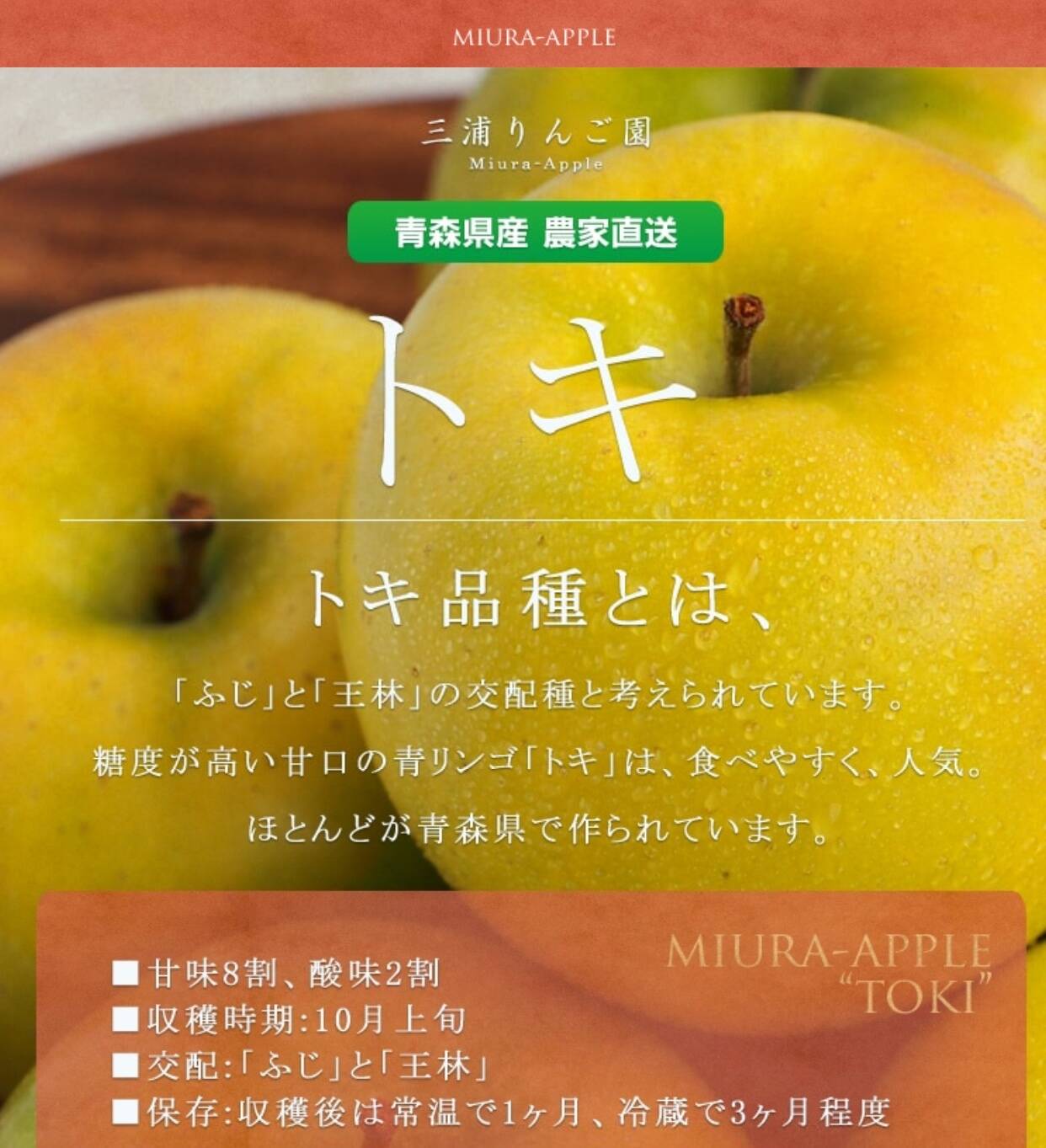 青森県産りんご  トキ