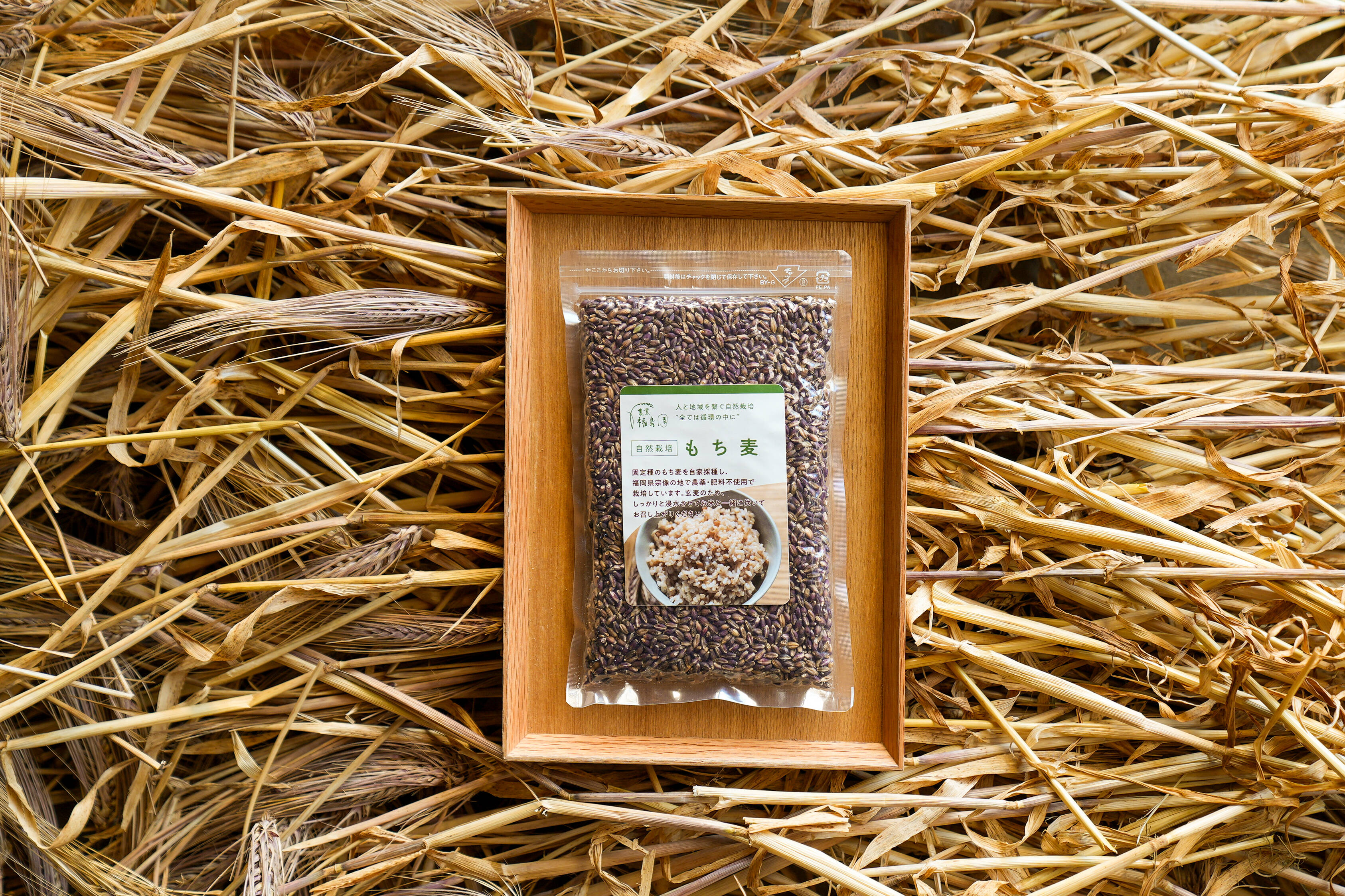 自然栽培】農薬・肥料不使用のもち麦（玄麦）600g：福岡県産のもち麦