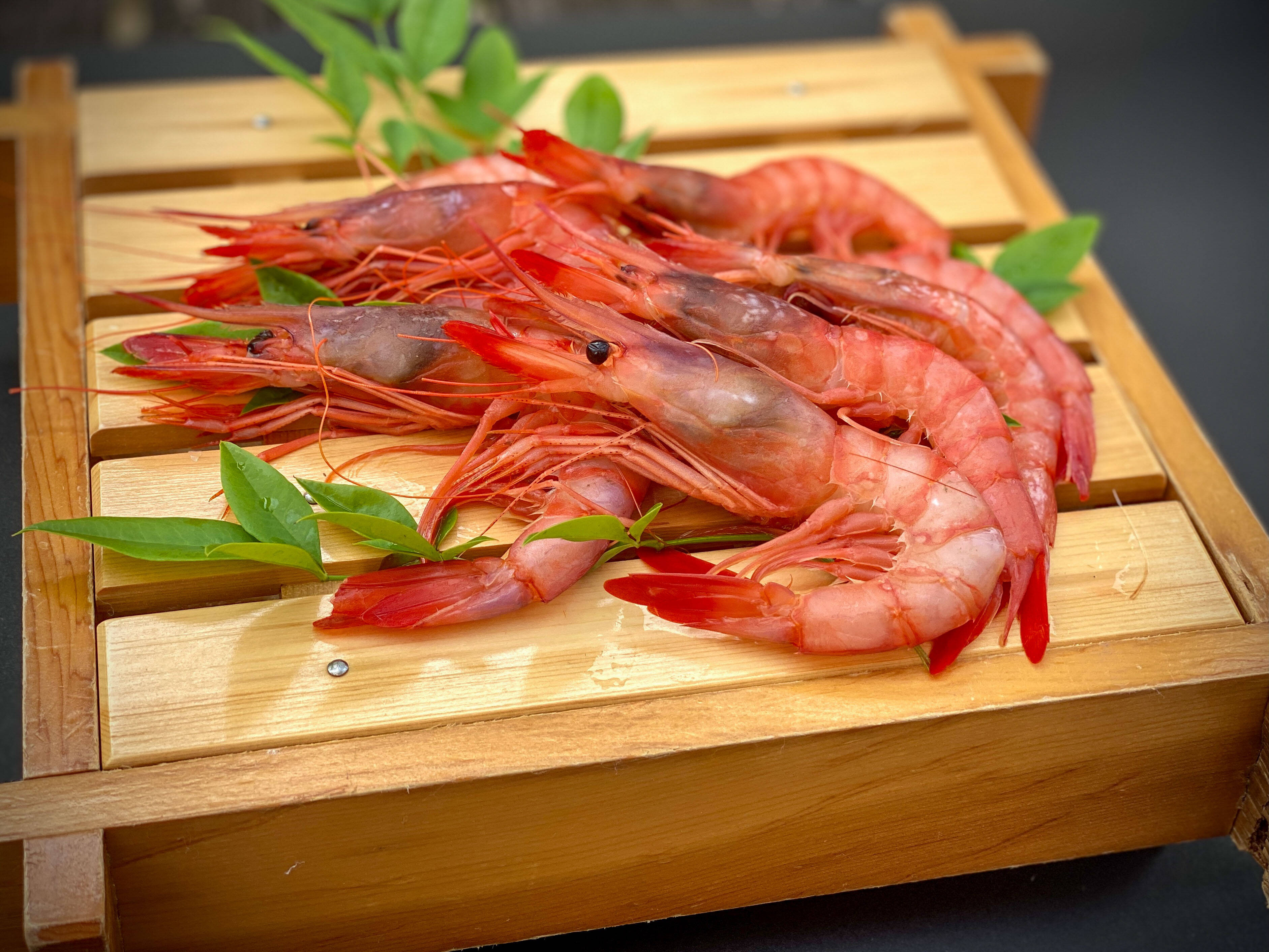 大容量】光放つ美しい縞模様「駿河湾産シマエビ」2kg(1kg×2PC