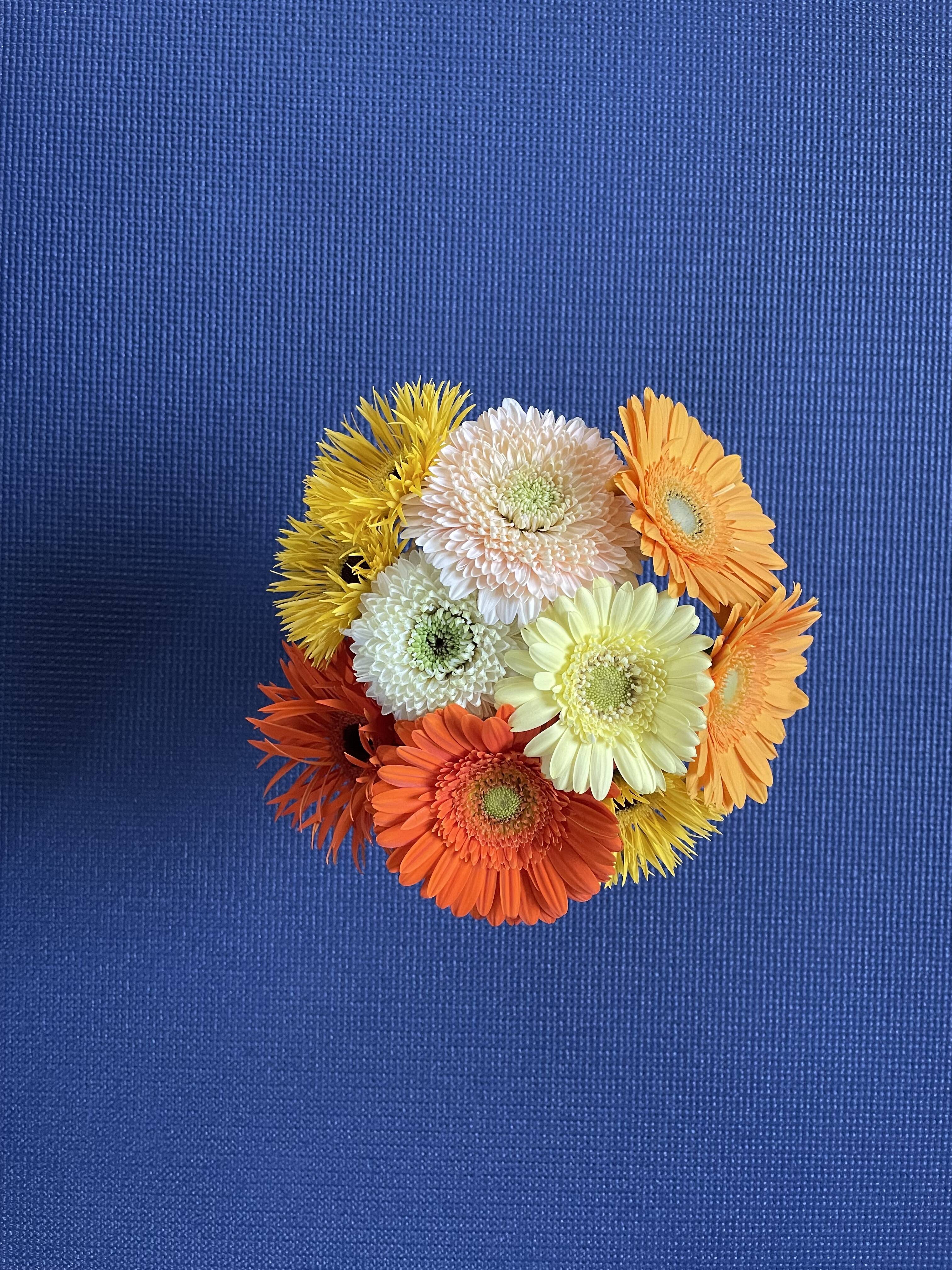 花農家直送！！クルクマ20本❀ガーベラ60本❀菊❀ 花農家直送！！クルクマ20本❀ガーベラ60本❀菊❀ 花農家直送！！