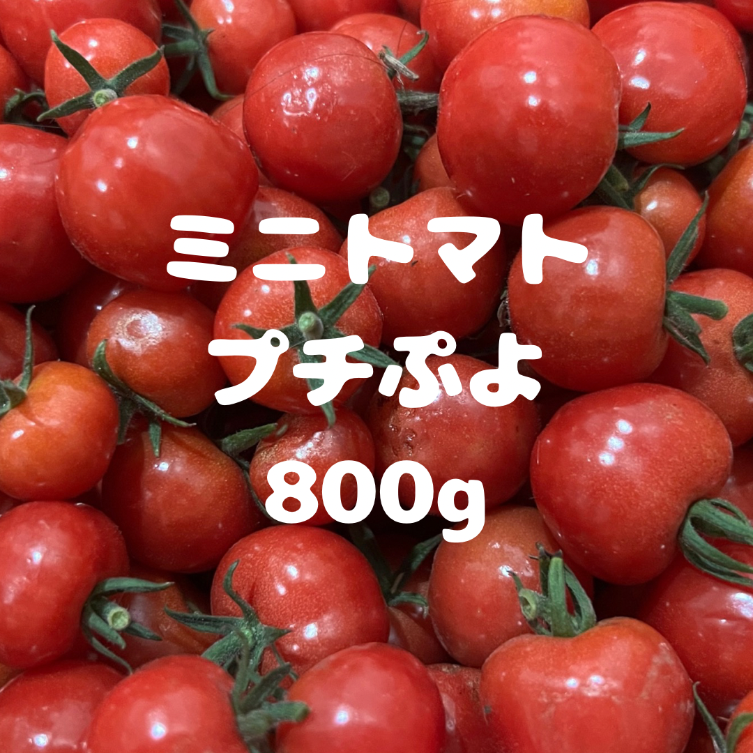 ミニトマトプチぷよ800g