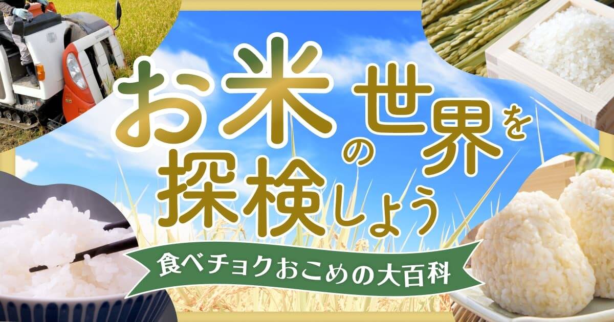 【お米の世界を探検しよう】お米の品種43種類を特徴ごとに一挙公開！