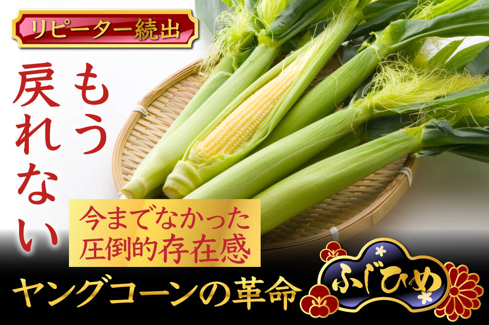創作こけし福島汪江　野菜こけし みょうが・きゅうり・とうもろこし トウモロコシ🌽品種選定 まだまだ冬野菜の収穫が始まったばかり