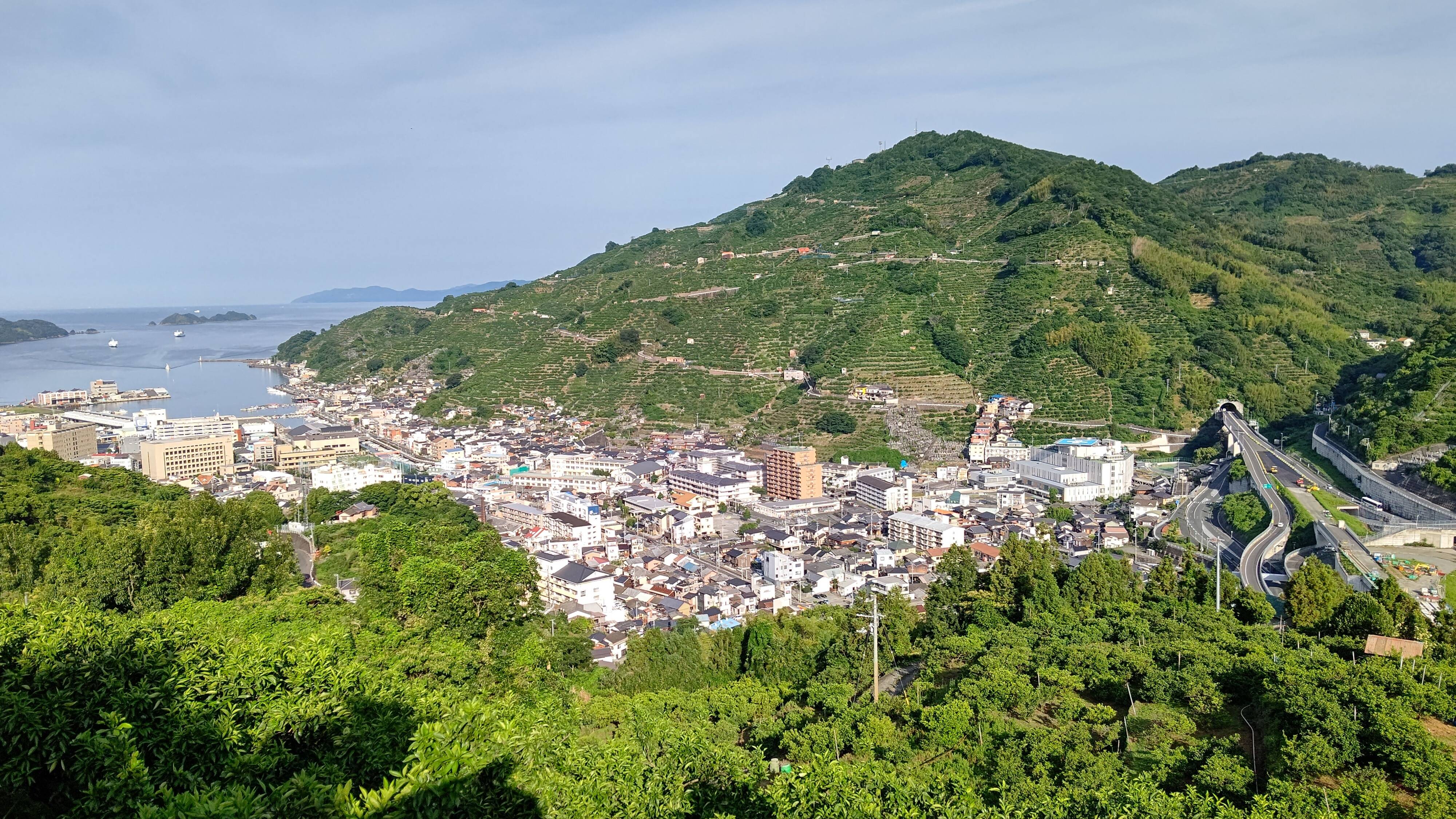 愛媛県産甘夏10キロ×12 愛媛県産 甘夏