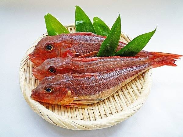 いつもの魚に飽きた人におすすめ カナガシラ干物 一夜干し 5枚セット 干物を使ったアクアパッツァのレシピ付き 新潟県産の魚 食べチョク 産地直送 産直 お取り寄せ通販 農家 漁師から旬の食材を直送