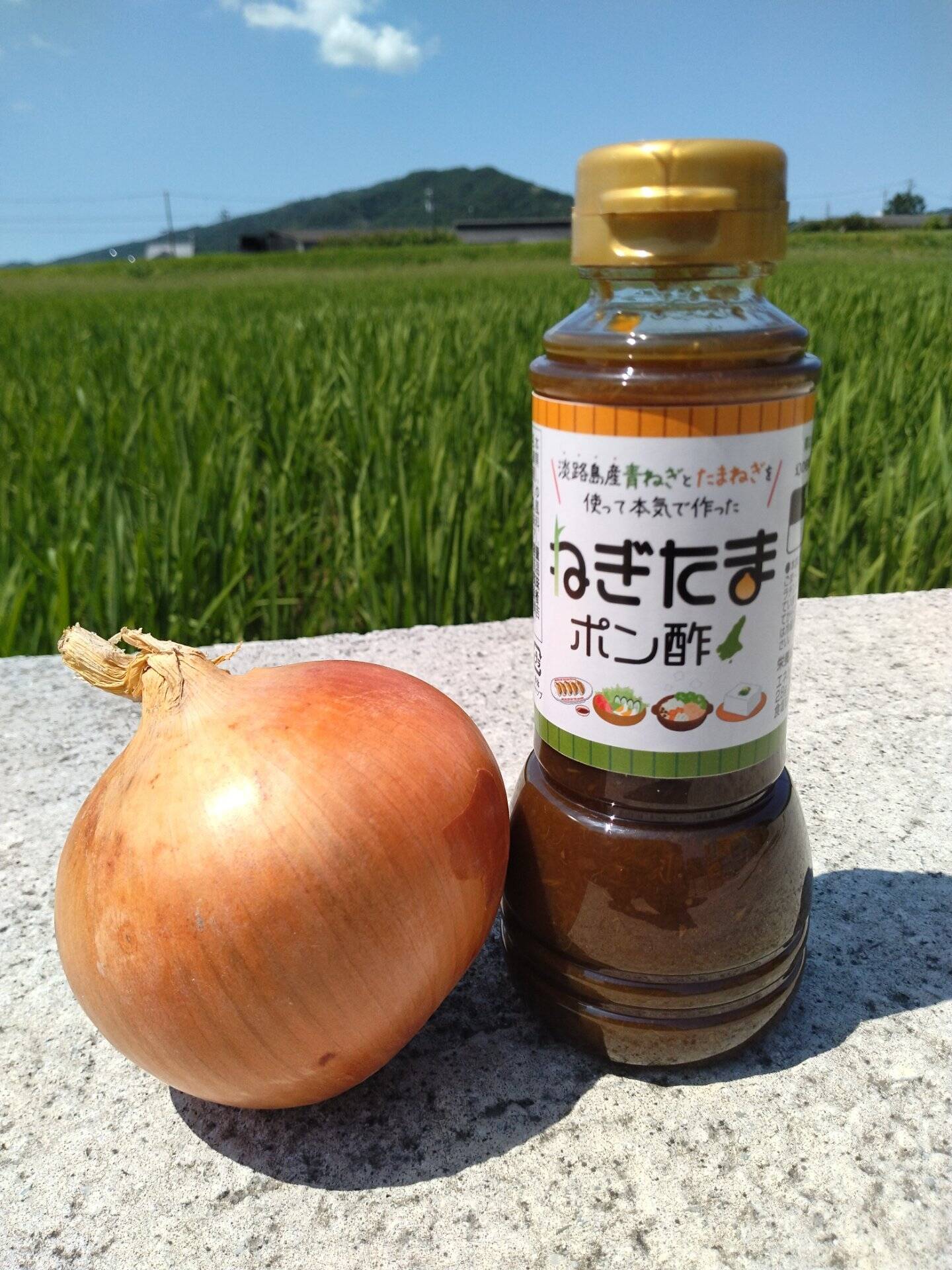 読売テレビ：すまたんで紹介！】ねぎたまポン酢：兵庫県産の加工品