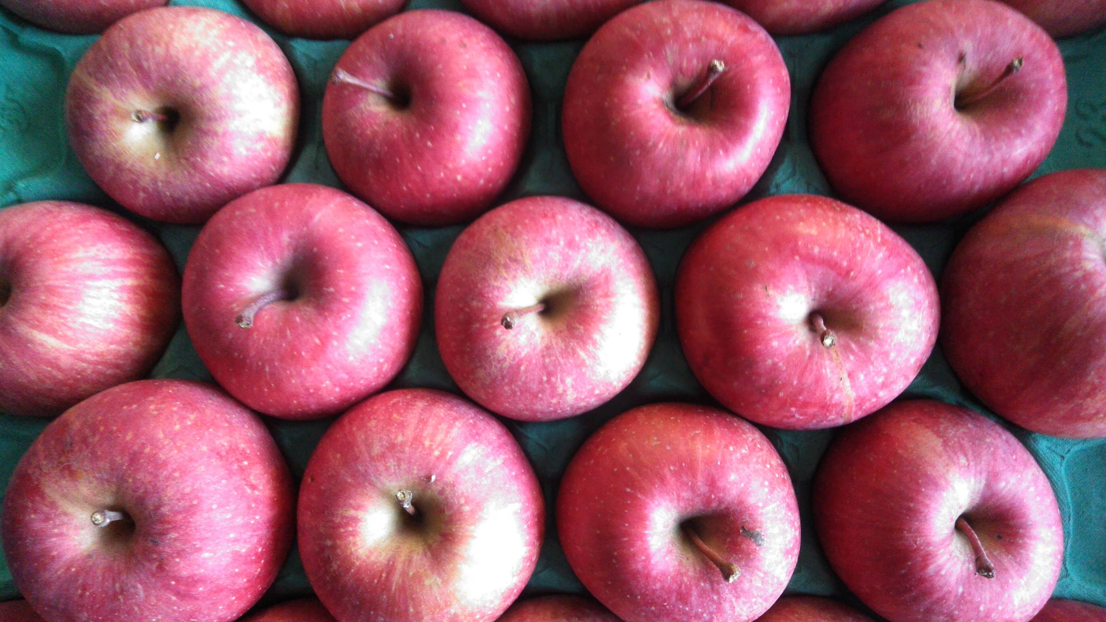 収穫してた！家庭用さんふじ！約5キロ！23個入り：青森県産のふじ｜食べチョク｜産地直送(産直)お取り寄せ通販 農家・漁師から旬の食材を直送