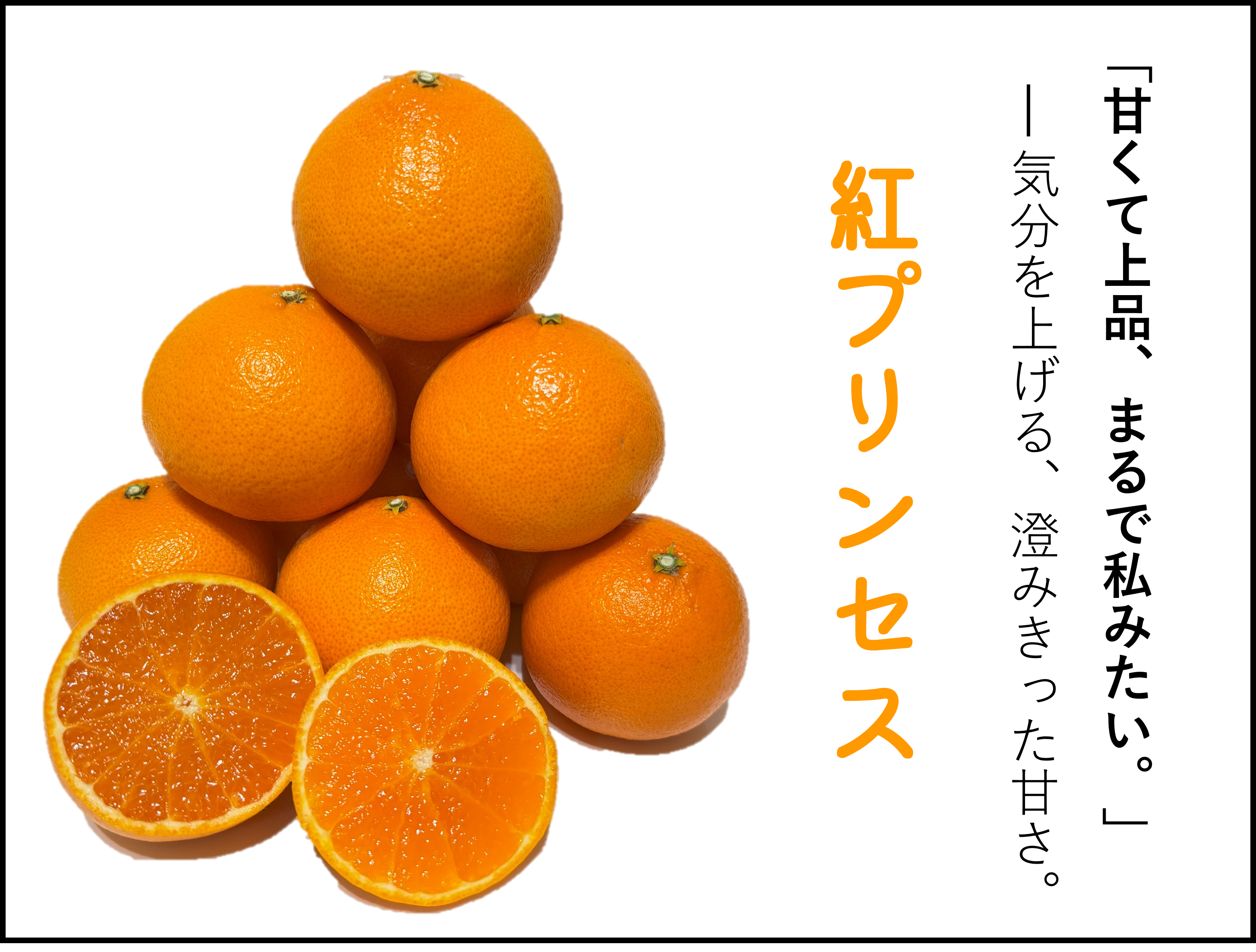 新登場＆数量限定】愛媛県産 新品種「愛媛果試第48号(基準クリア