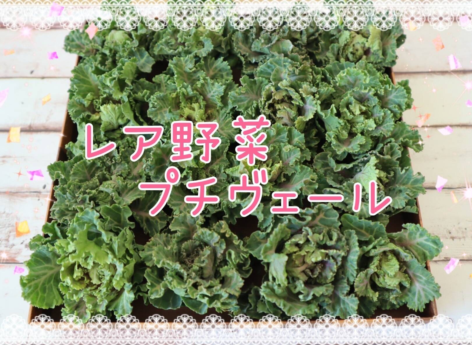 最終！！にらの茎だけ！ 約600g - 野菜