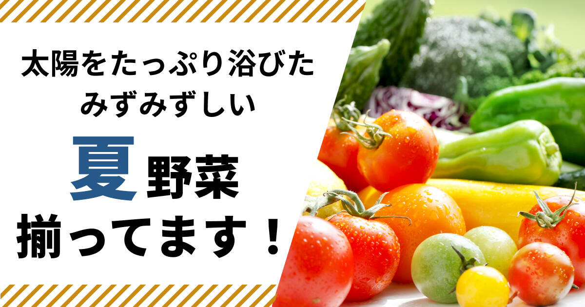 太陽をたっぷり浴びて育った！旬の夏野菜