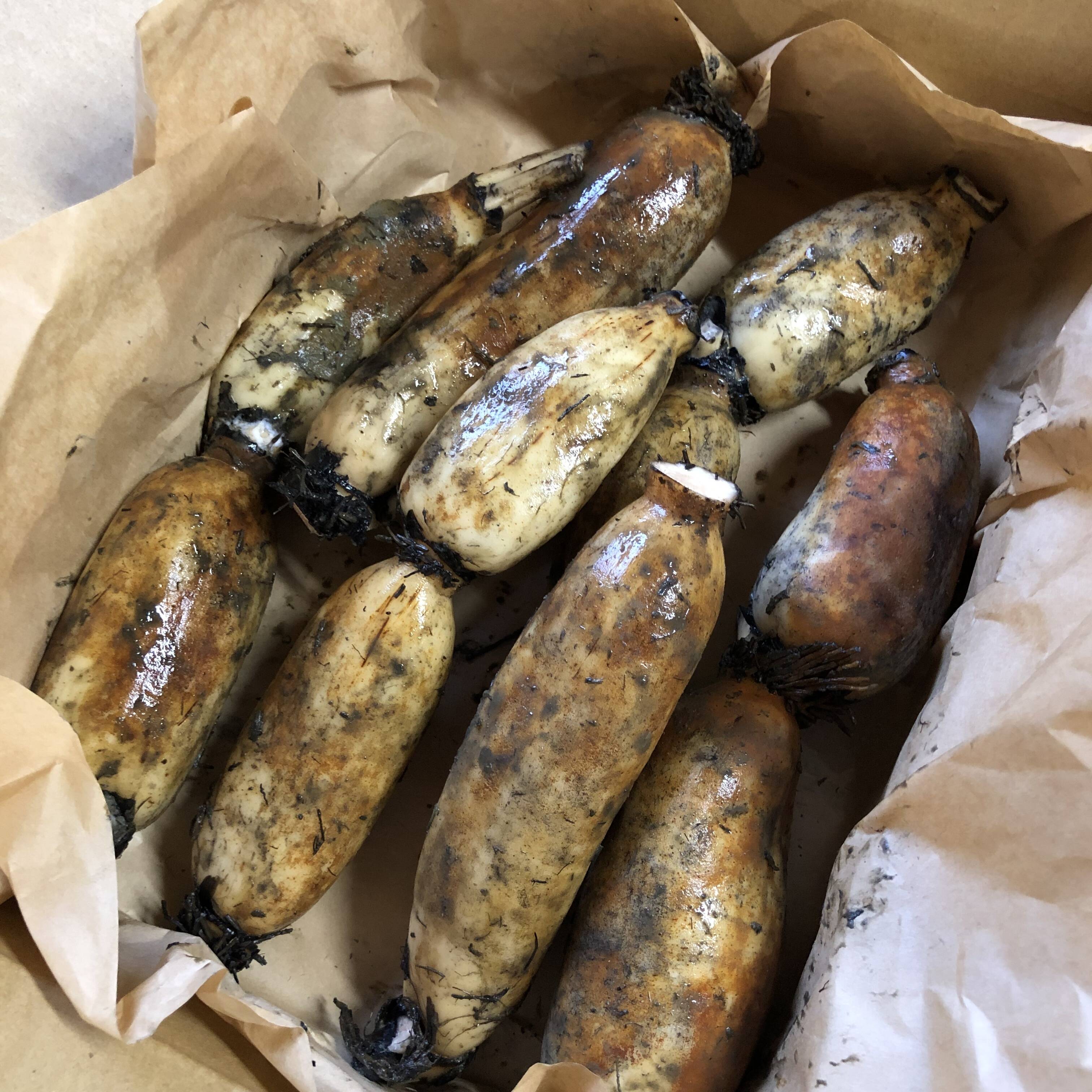 自然栽培・在来種】神子原れんこん(おまかせ)2kg(クール)：石川県産の