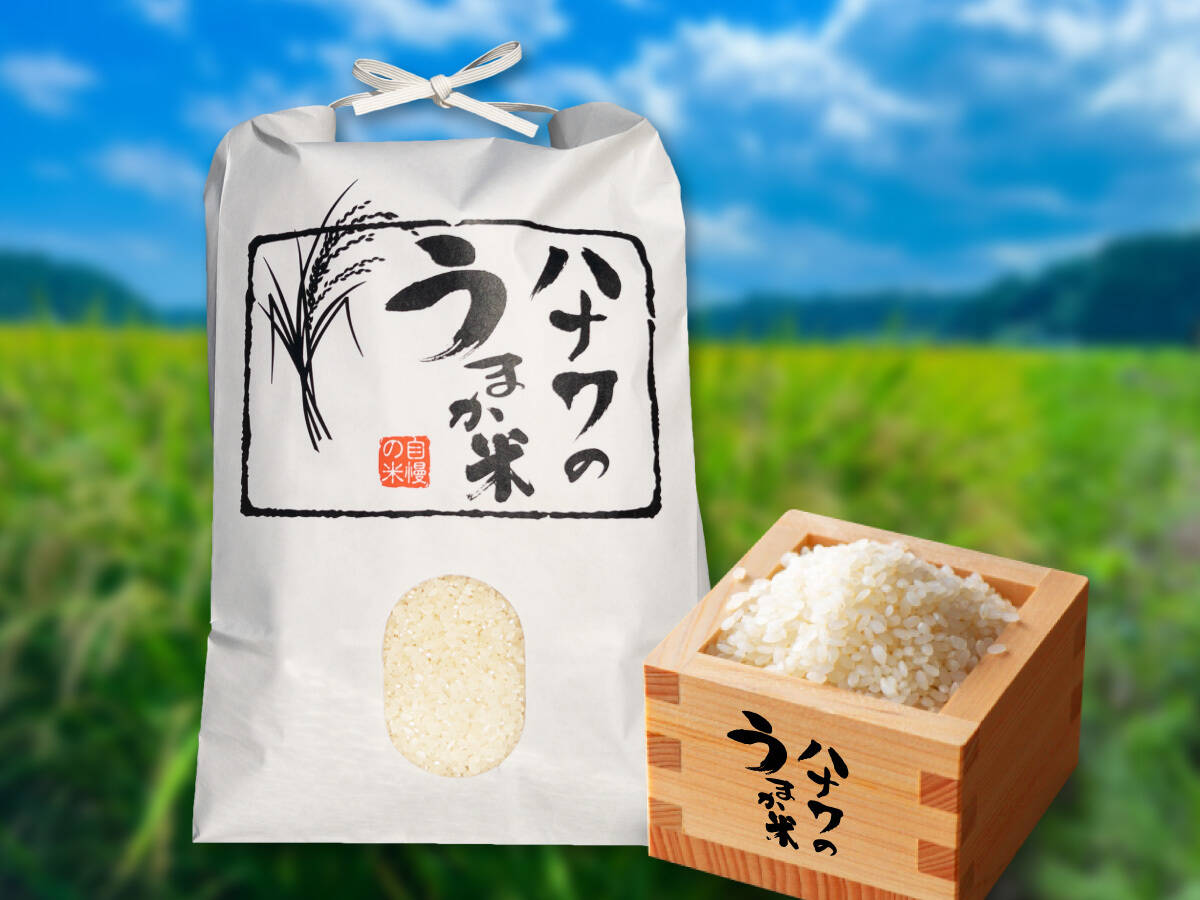 人気ブラドン 令和6年新米】ふさおとめ 令和6年：千葉県産のお 10kg（精米）/ 米・雑穀・粉類
