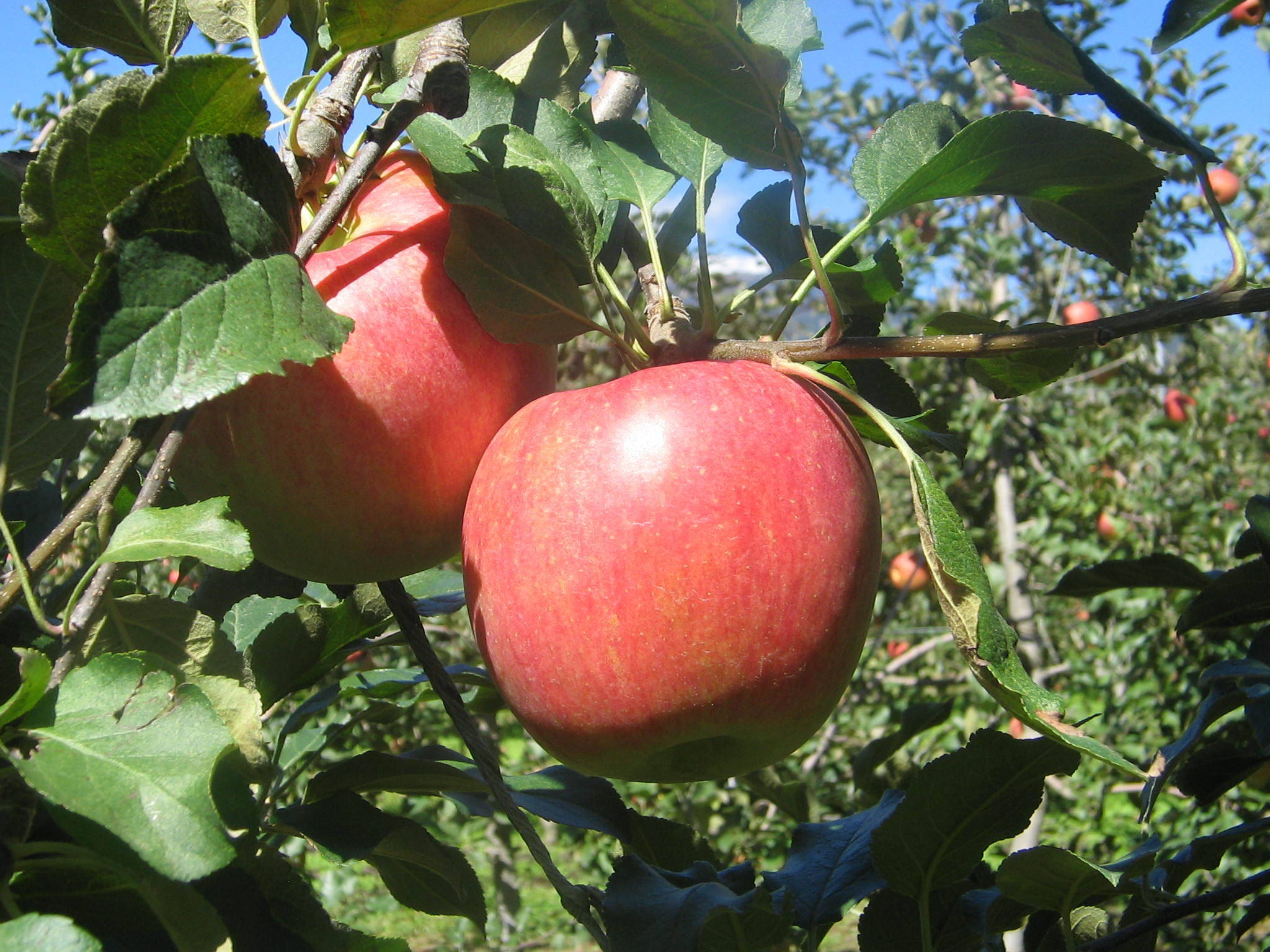 0ff49452455b55585fbc7d201c5097