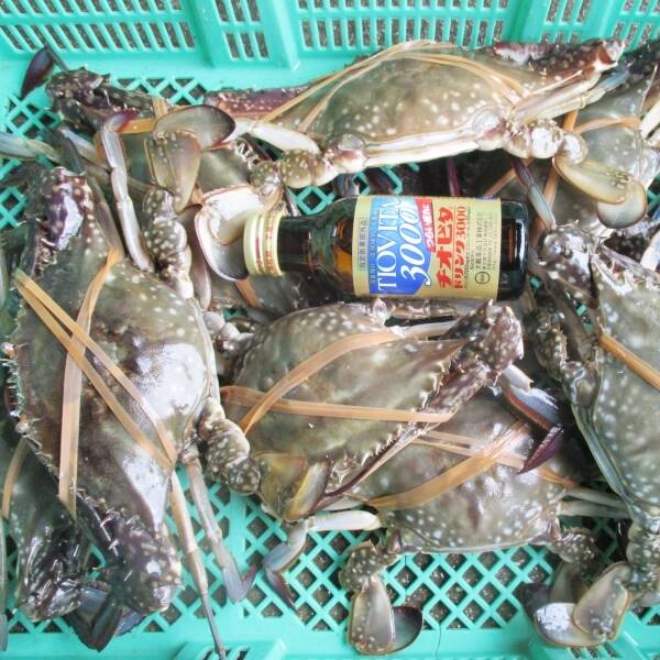 冷凍ガザミ オス中サイズ 4kg（約18杯）「2kg×2箱で4kg」日本