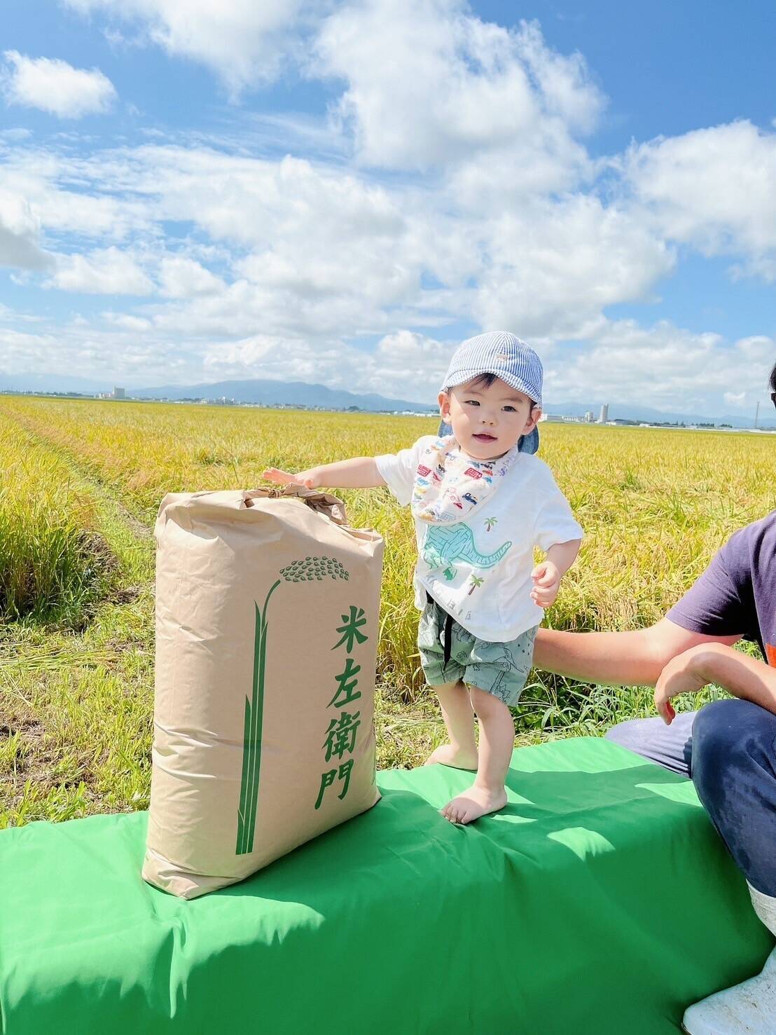 【楽天スーパーセール】 予約開始！！ 令和7年新米 新商品！大きい粒でとっても美味しい その他