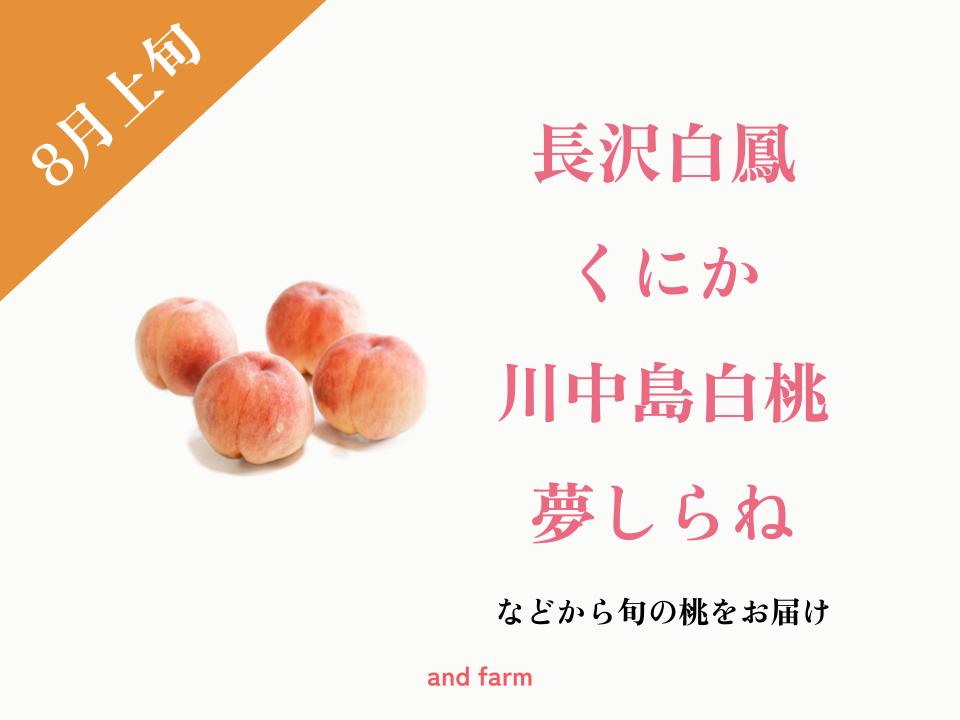 食品 山梨一宮の甘い桃 川中島白桃の特大サイズを6個詰め