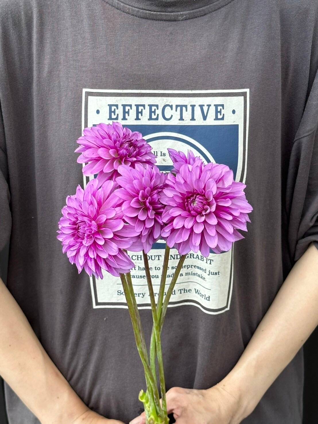 6/14.15 ダリア様 種からのダリア : r/dahlias