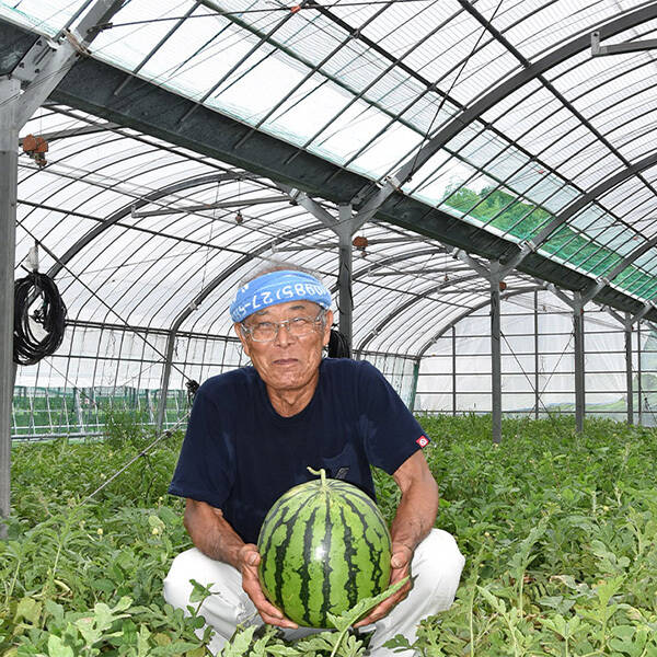 スイカ(12kg級)：宮崎県産のその他スイカ｜食べチョク｜産地直送(産直