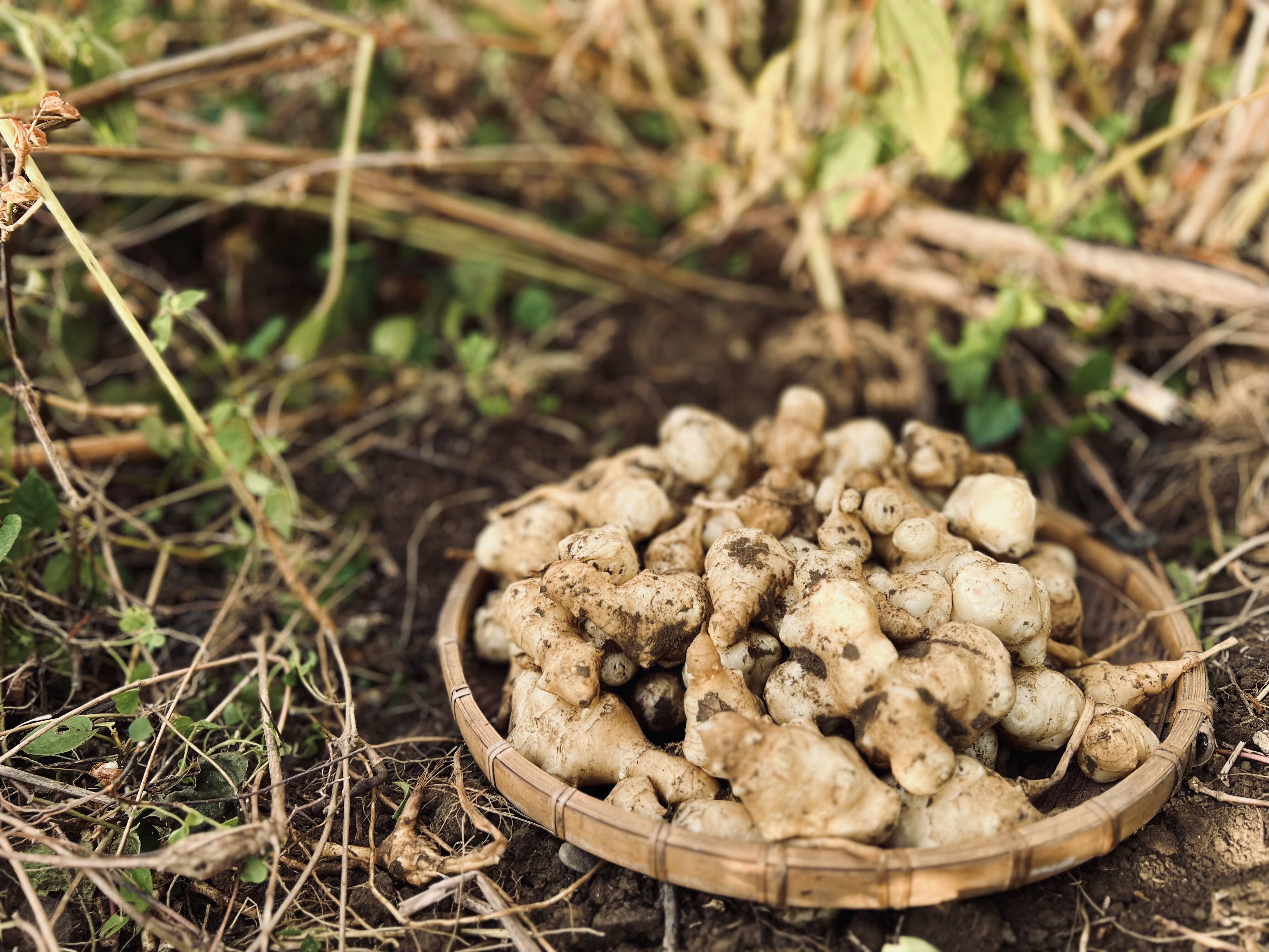 112c08e0acc14c32a0e60fabed4810