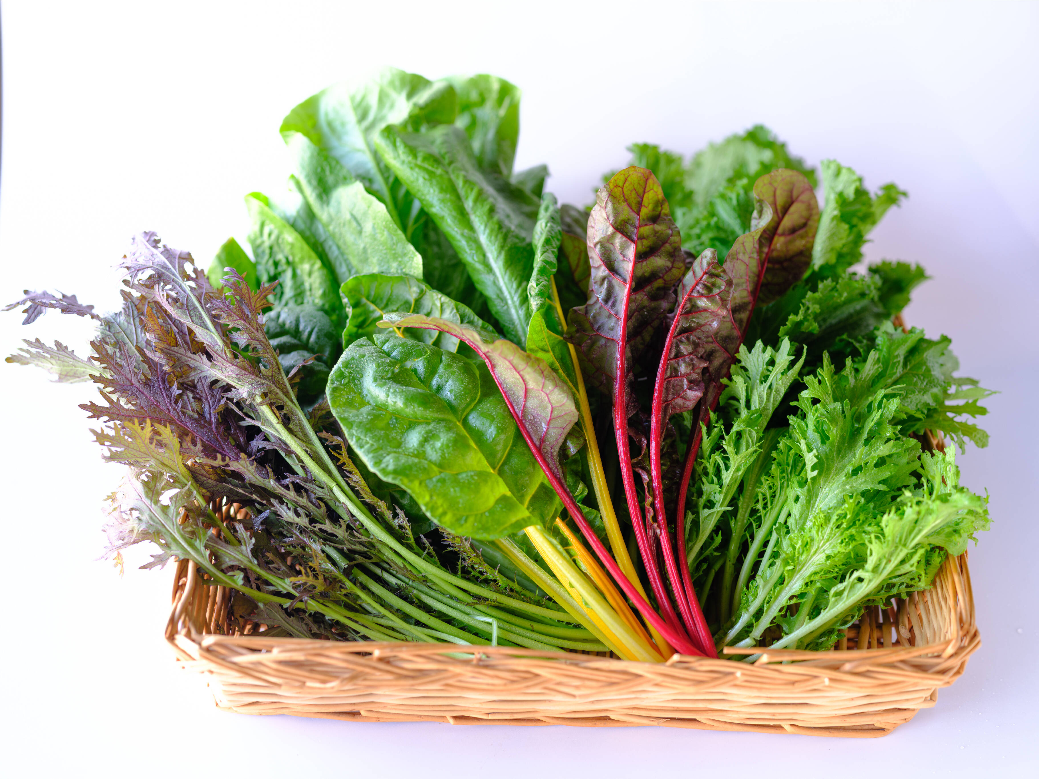 冬ギフト】阿蘇の天然水で育った！ハーブ野菜サラダセット 1袋300g