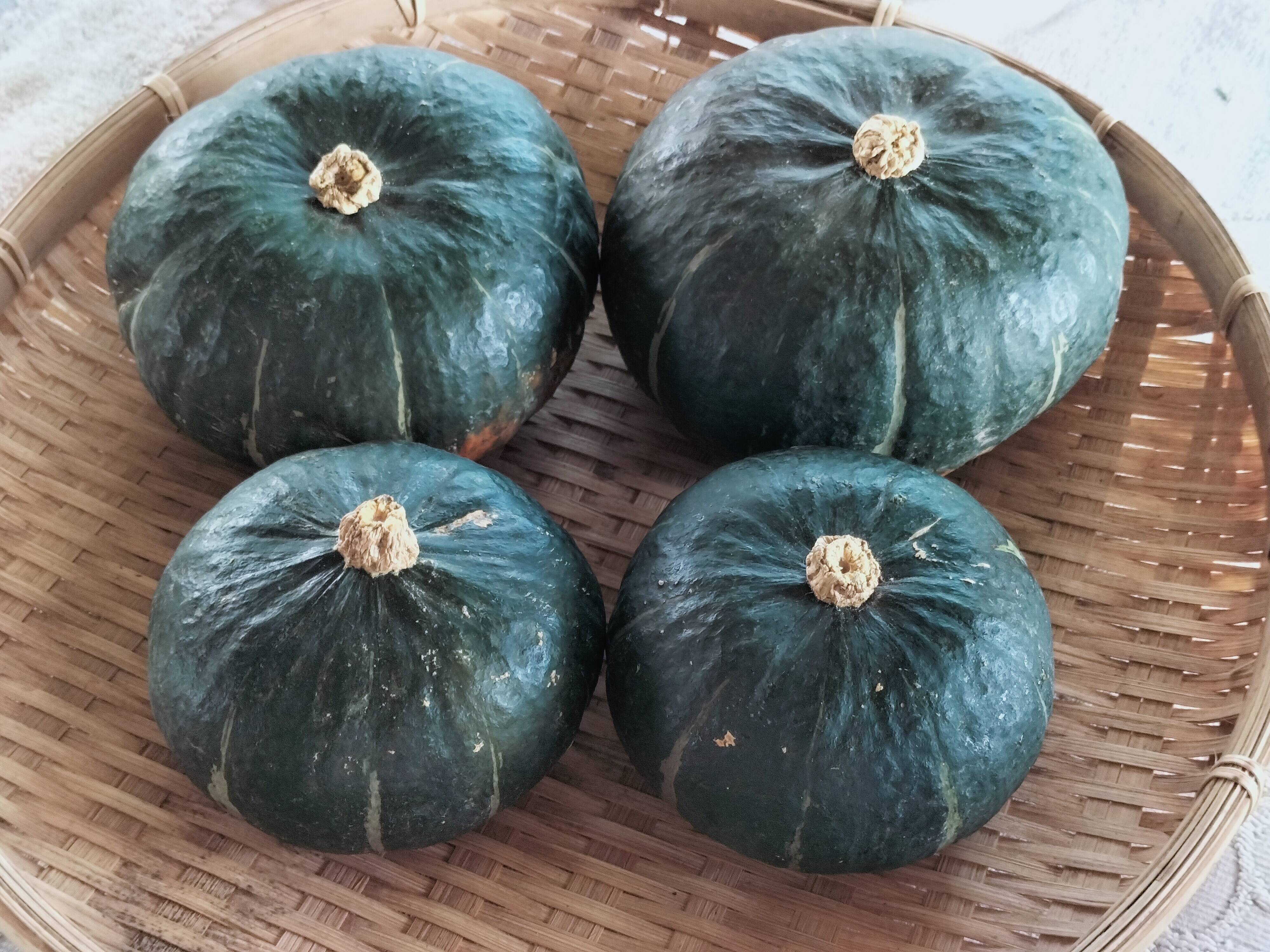 カボチャ 栗っプチ 1.5kg（3-6玉）チッチャく甘い！栗かぼちゃ界の一寸