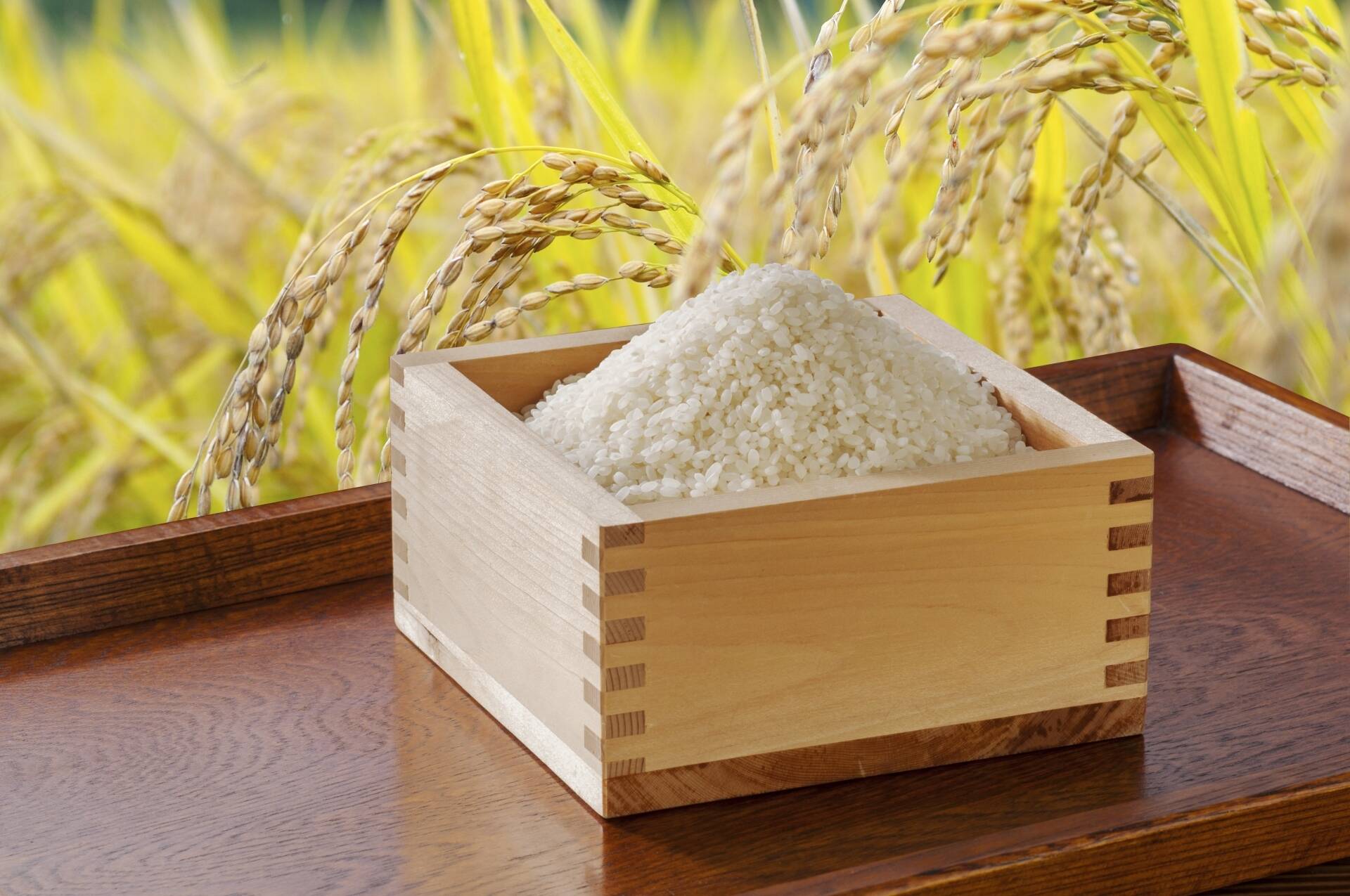 酒米の王様 山田錦を食卓へ】化学肥料・農薬不使用 もちもち食感 玄米