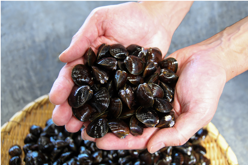 118b75c7f508b0f2c56b904e3afd45