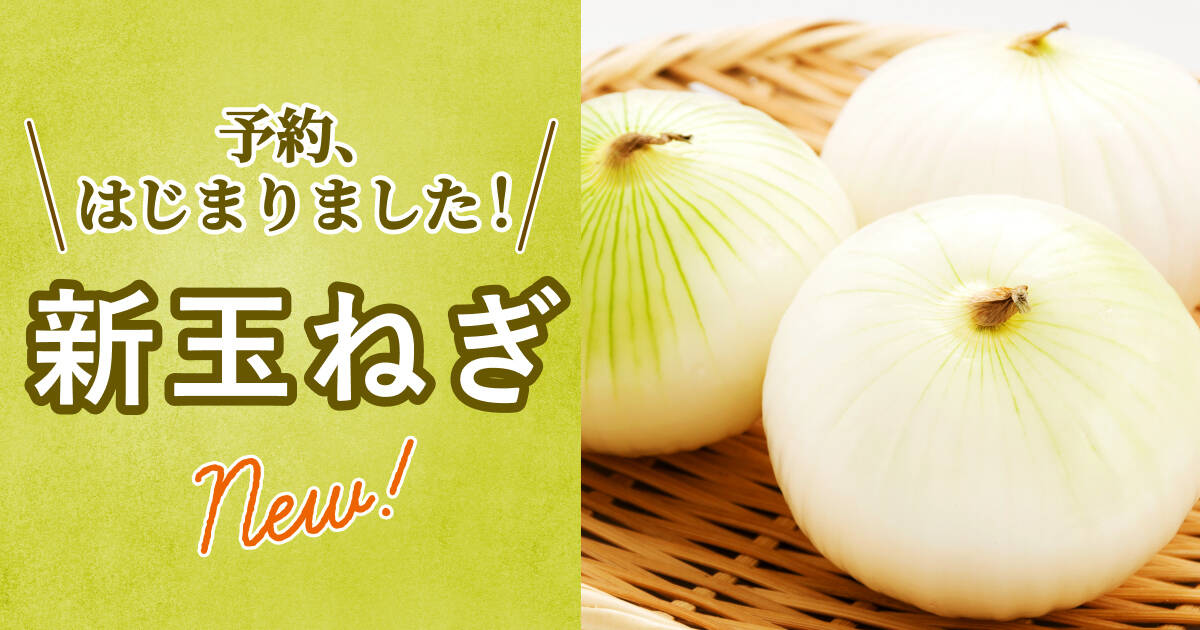 🍴 Tabe Choku | [Spring only fun] Revealing the secret of the deliciousness of "new onions" that can be eaten raw! Onions are a vegetable that is easily available all year round, but only in spring...