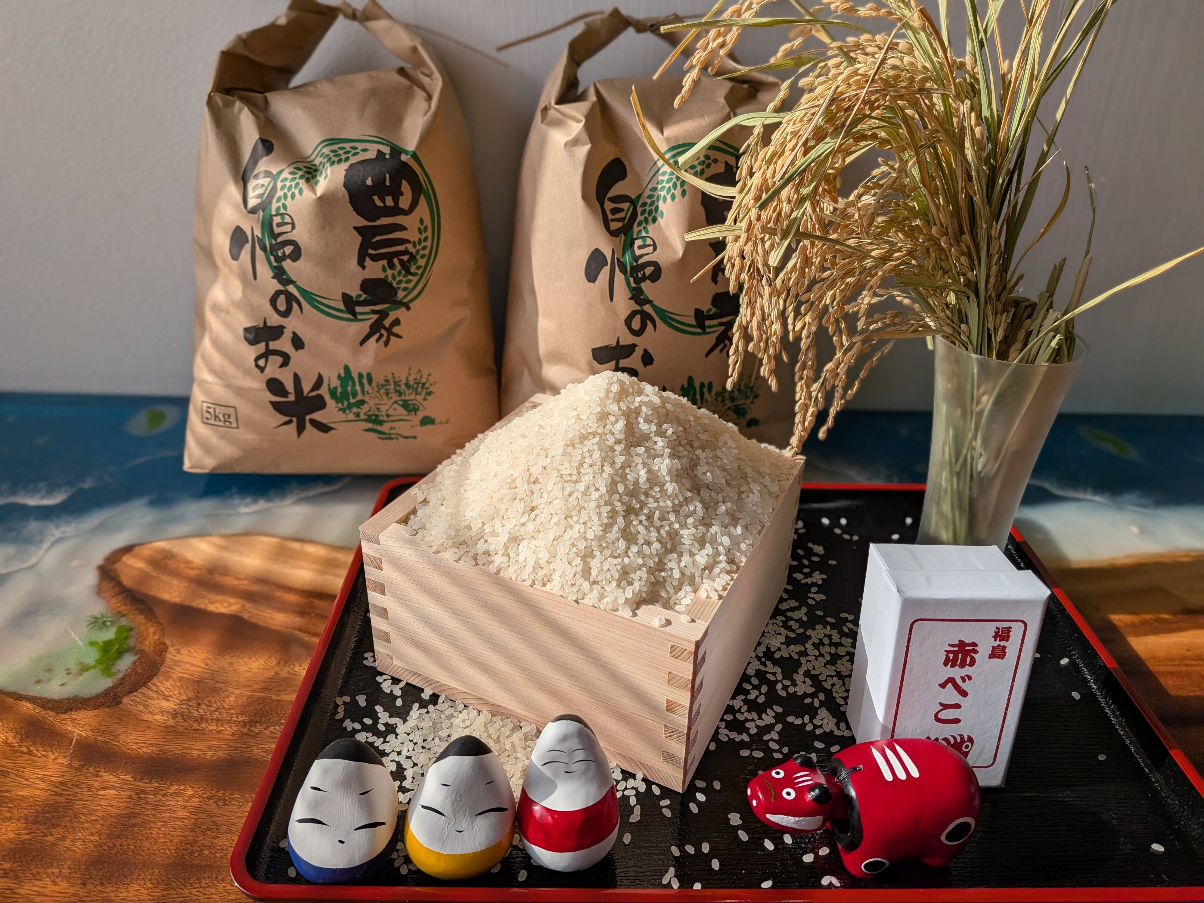 会津米 令和7年産 コシヒカリ 中米 10㎏ （白米）：福島県産のお米