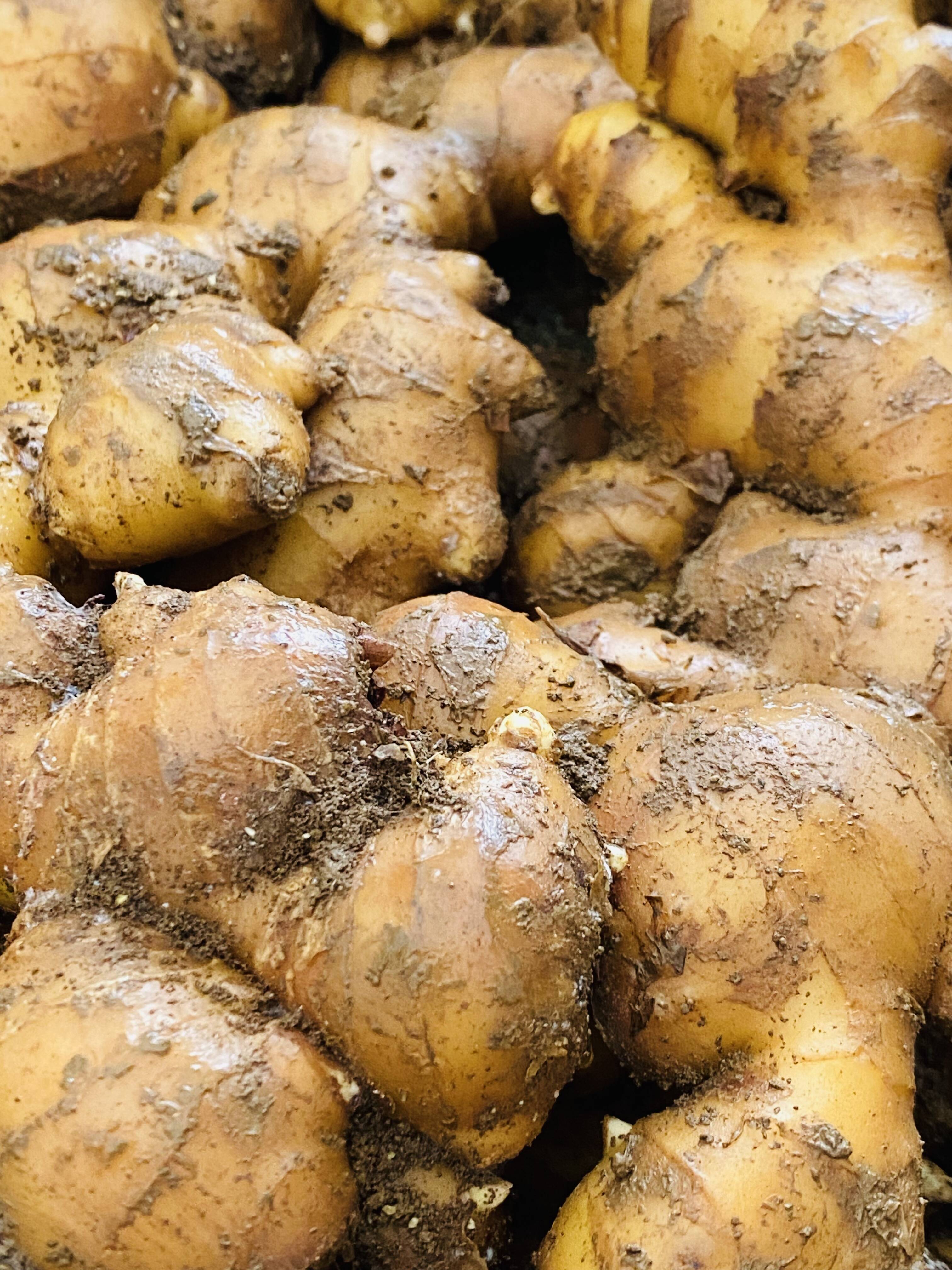 🍴 Eating choku ｜ For those who want to use a lot! !3 kg of ginger delivered!Pesticide-saving cultivation …