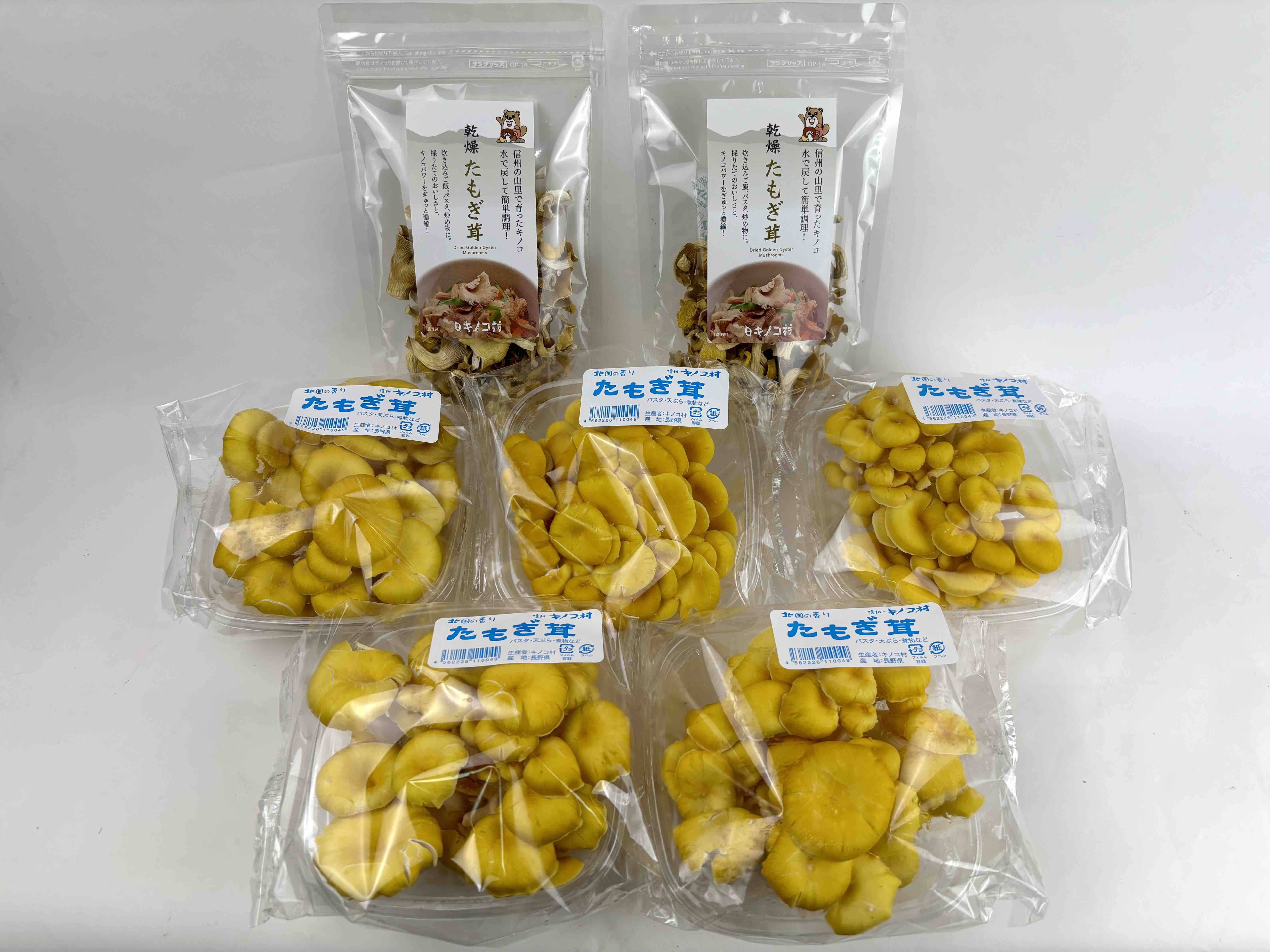 食べチョク限定】たもぎ茸セット《フレッシュキノコ5袋＋乾燥品2