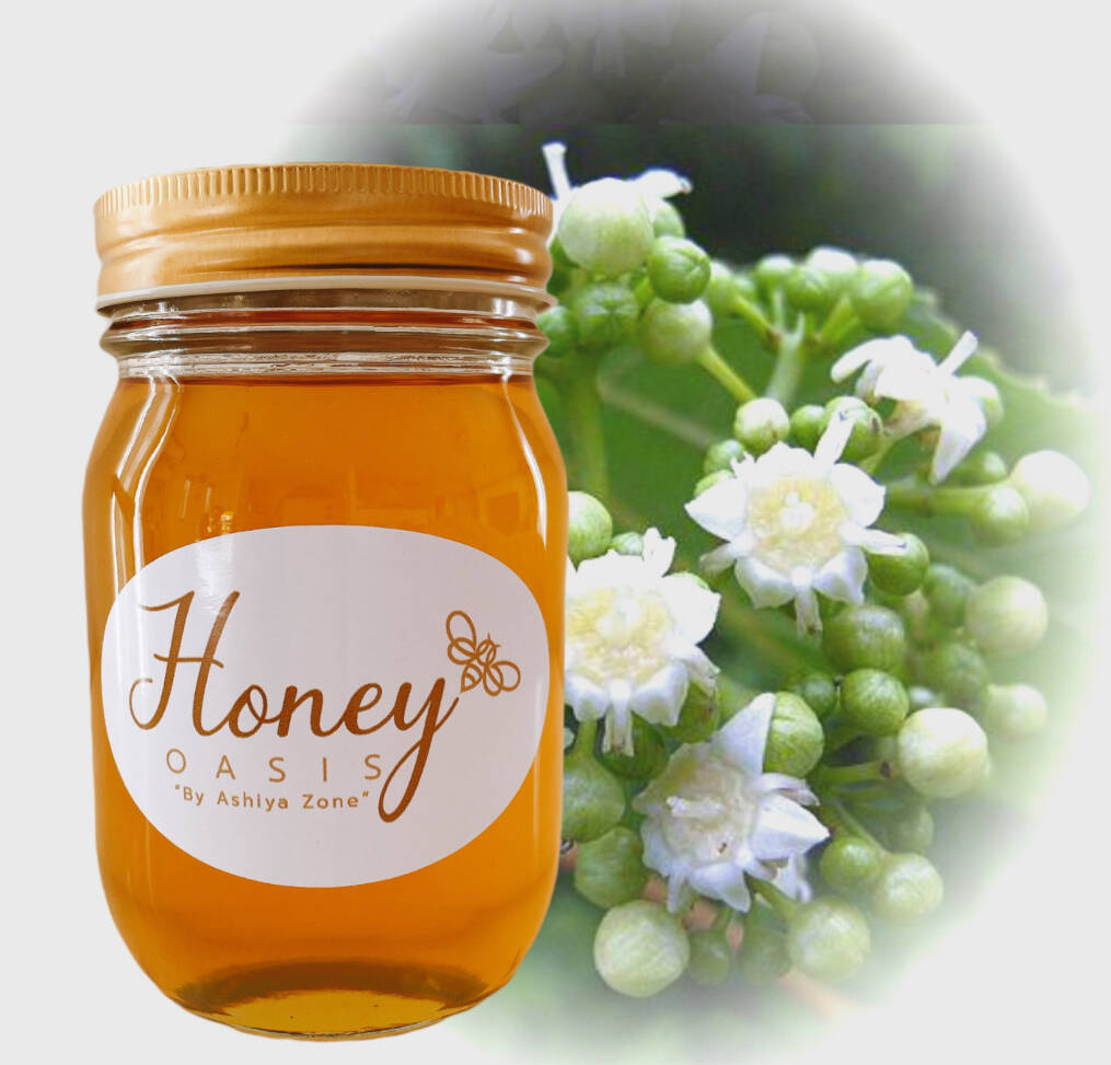 日本蜜蜂の天然ハチミツ　無添加　非加熱　内容量５００g × 3本 花々の蜂蜜 500g｜非加熱・無添加・抗生物質不使用の100％国産純