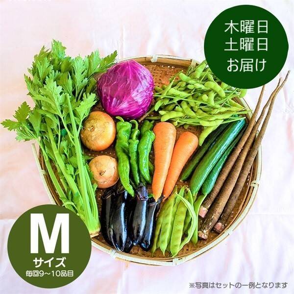 【採れたて】旬のおまかせ野菜セット(M/9-10品）