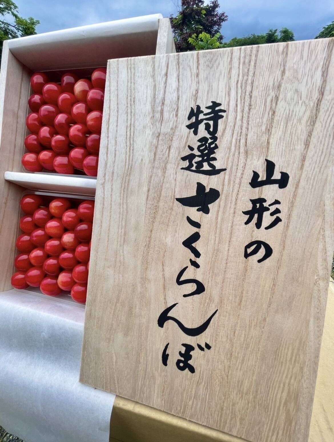 🍒ラスト1点限り🍒【プレミアム厳選】※超数量限定【朝どれ】《紅秀峰