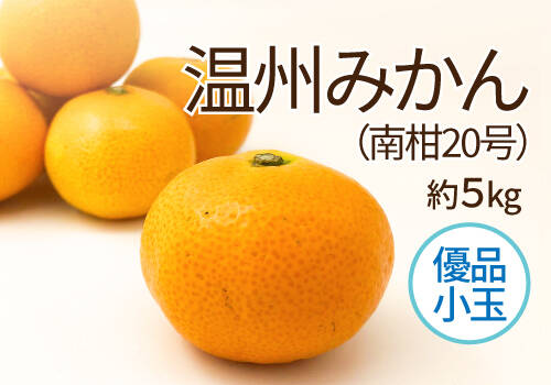 温州みかん＜南柑20号＞(優品・小玉) 約5kg：愛媛県産のみかん・柑橘類