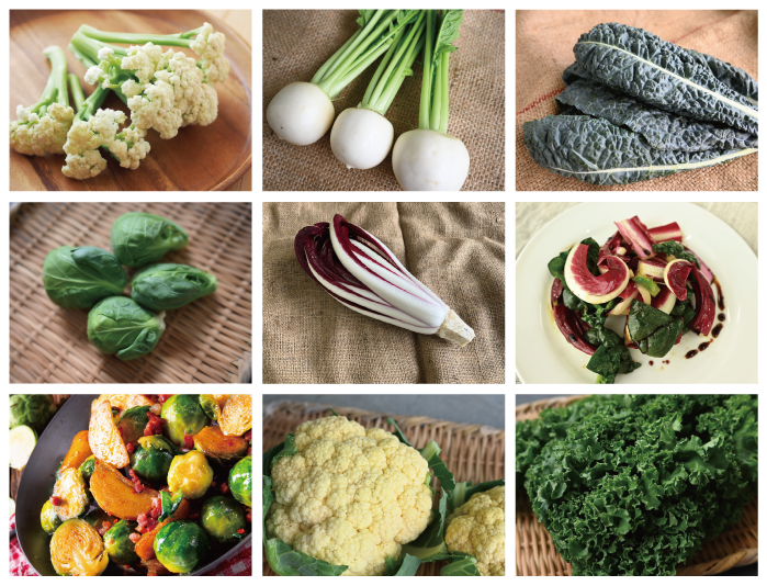 月・金曜発送便】ココロ躍る🌈おまかせ野菜セット【さいたま市産