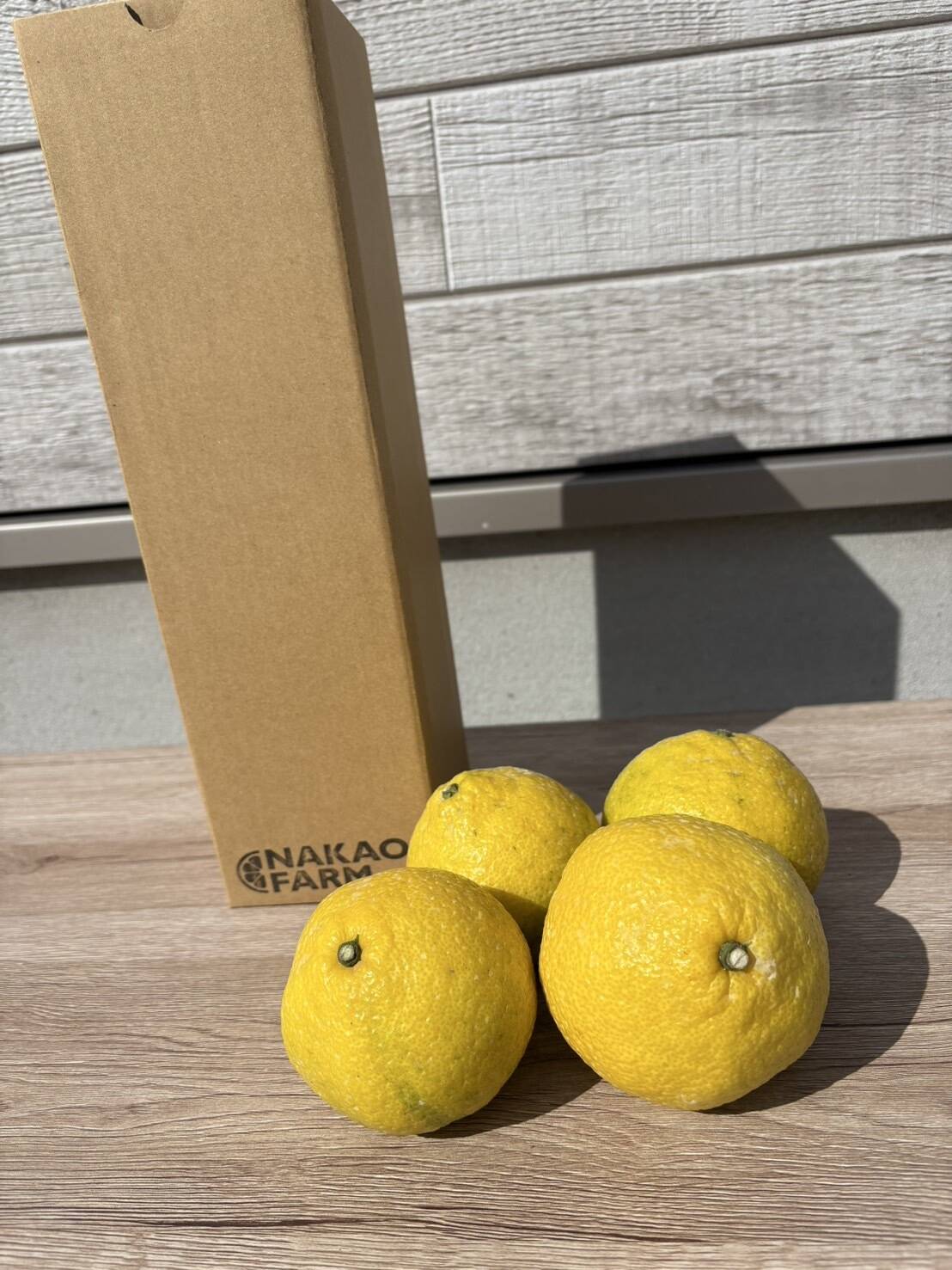 佐賀県太良町産はるか1kg【お試しセット】：佐賀県産のみかん・柑橘類