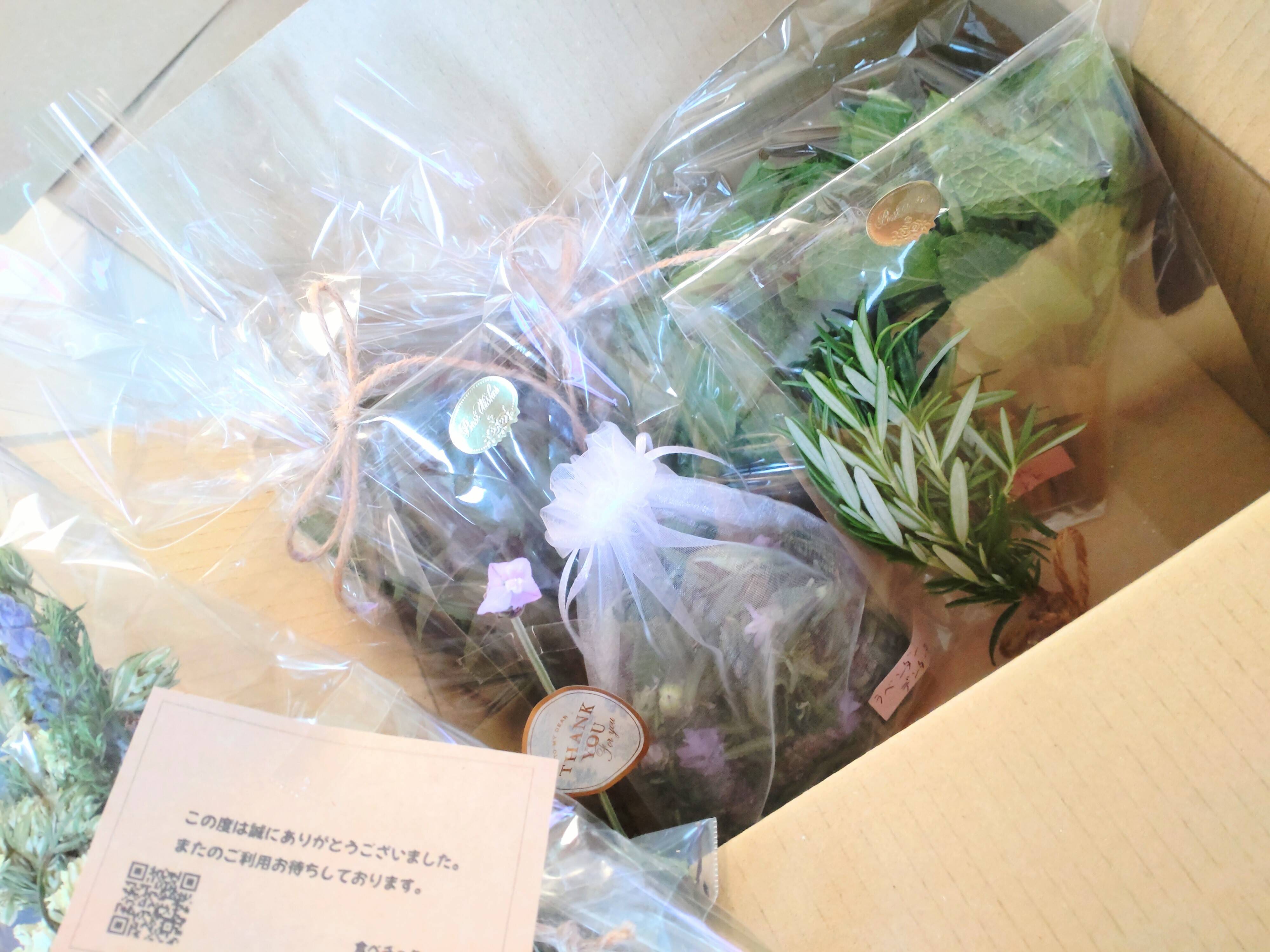 セット商品B】ハーブセット🌿ハーブ5種のセット🌿ローリエ 🌿ローズ