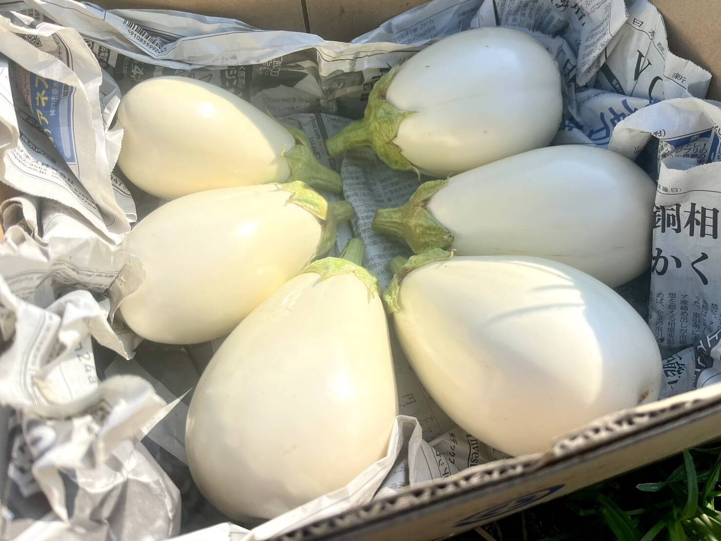 野菜 12bbeafd516a6ab499e2167925d0a7