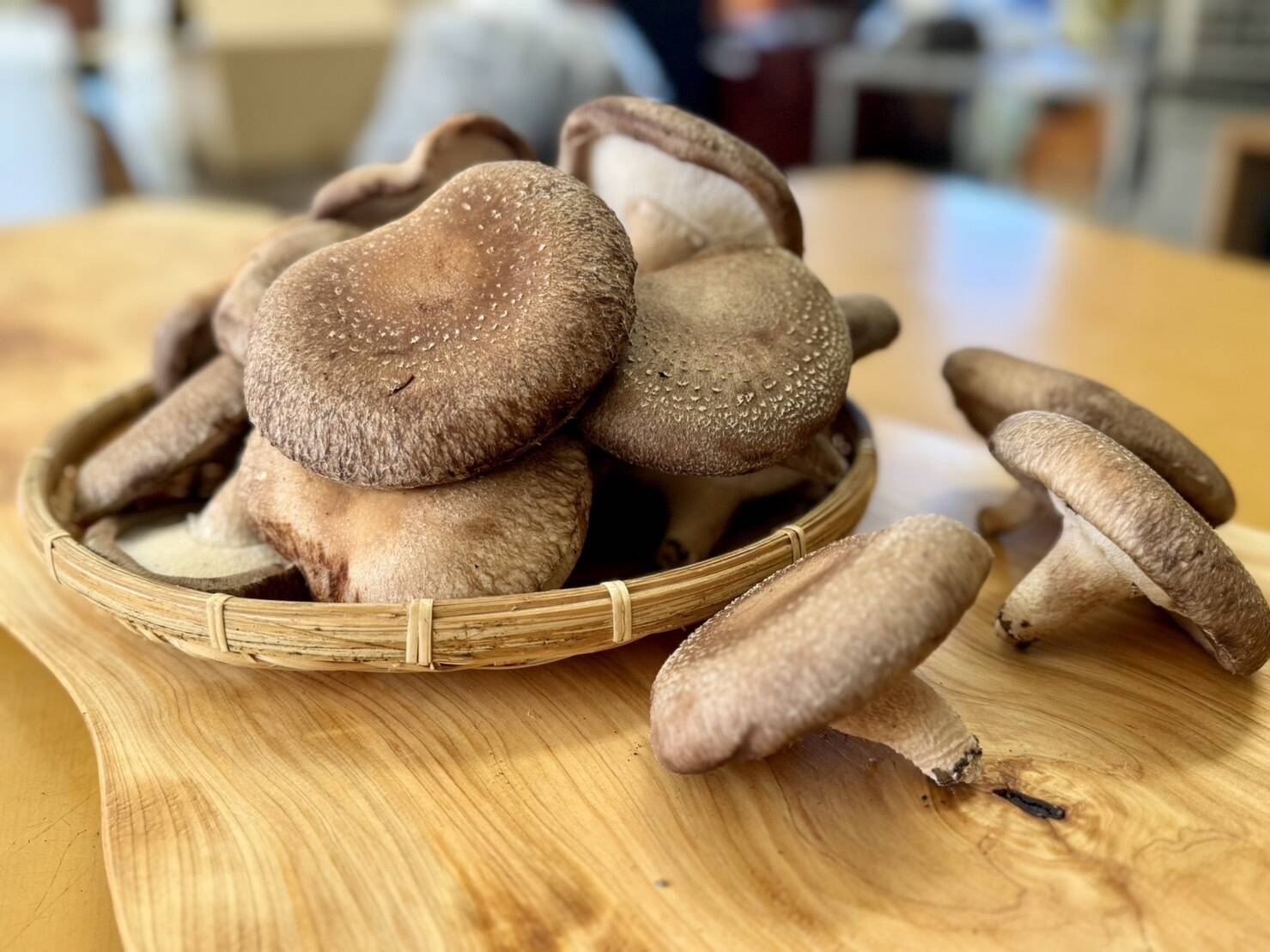 Gariしいたけ 個性派揃い♪原木干し椎茸徳用袋 3袋入：栃木県産のドライフード