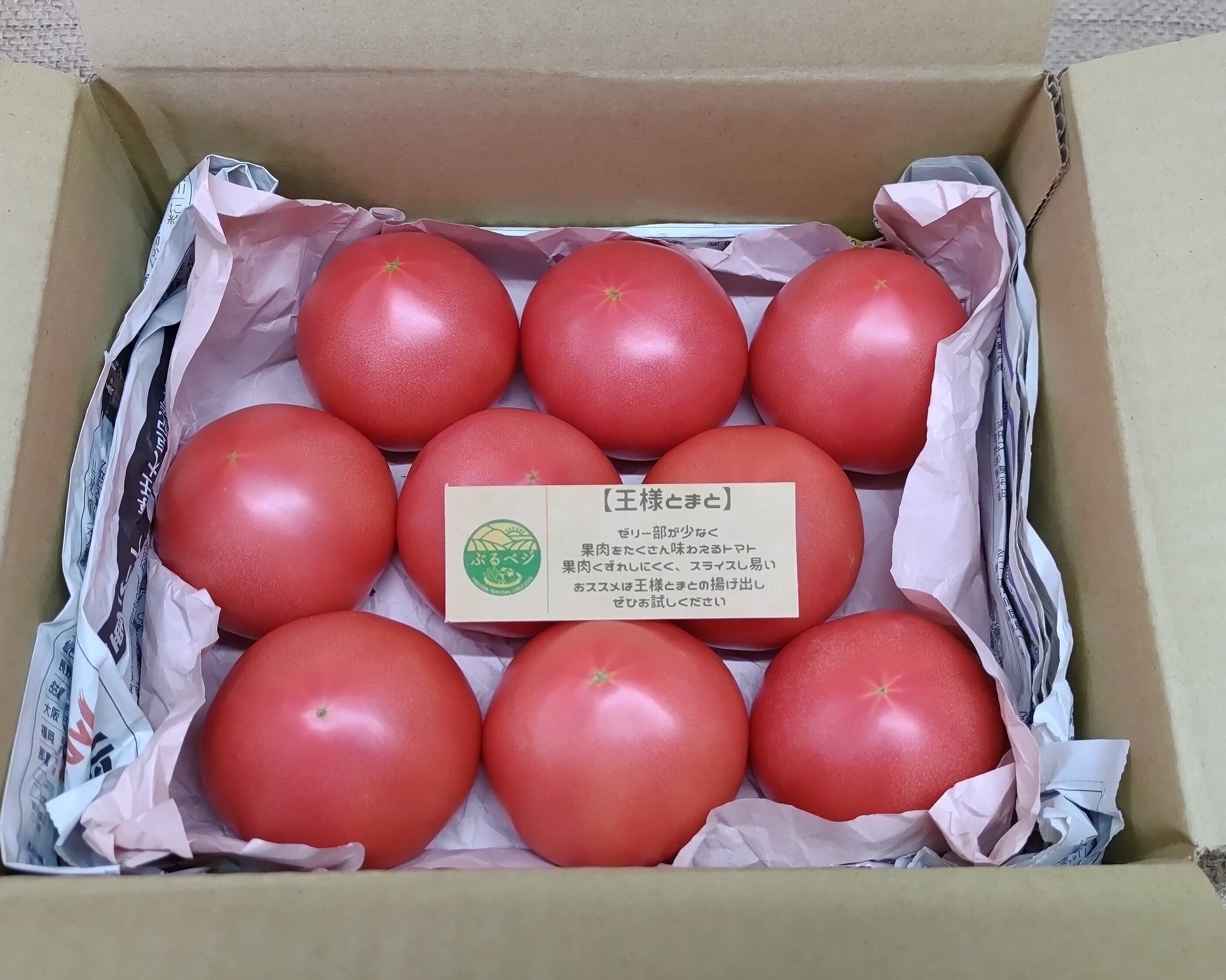とんとんトマト様　マルコモンマリエ 夏の王様トマト🍅始まりました♪ 赤熟もぎりの【麗月】8〜9玉