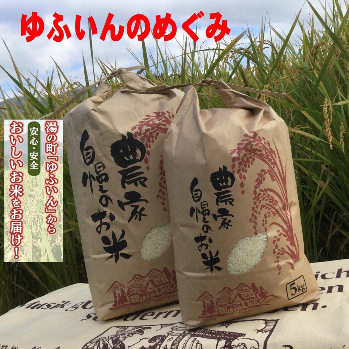 令和7年新米】ゆふいんのめぐみ“ひとめぼれ白米10kg”：大分県産のお米