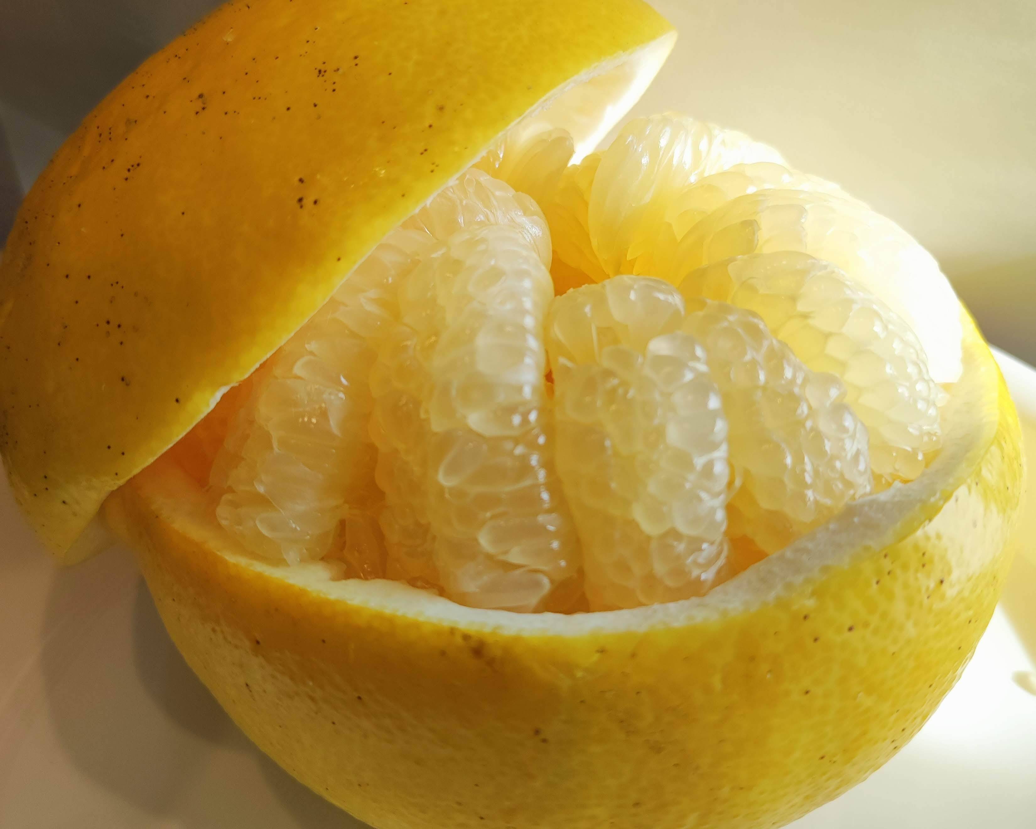 一度食べたら忘れない！高知の土佐文旦！訳あり5kg(M〜4Lサイズ混合