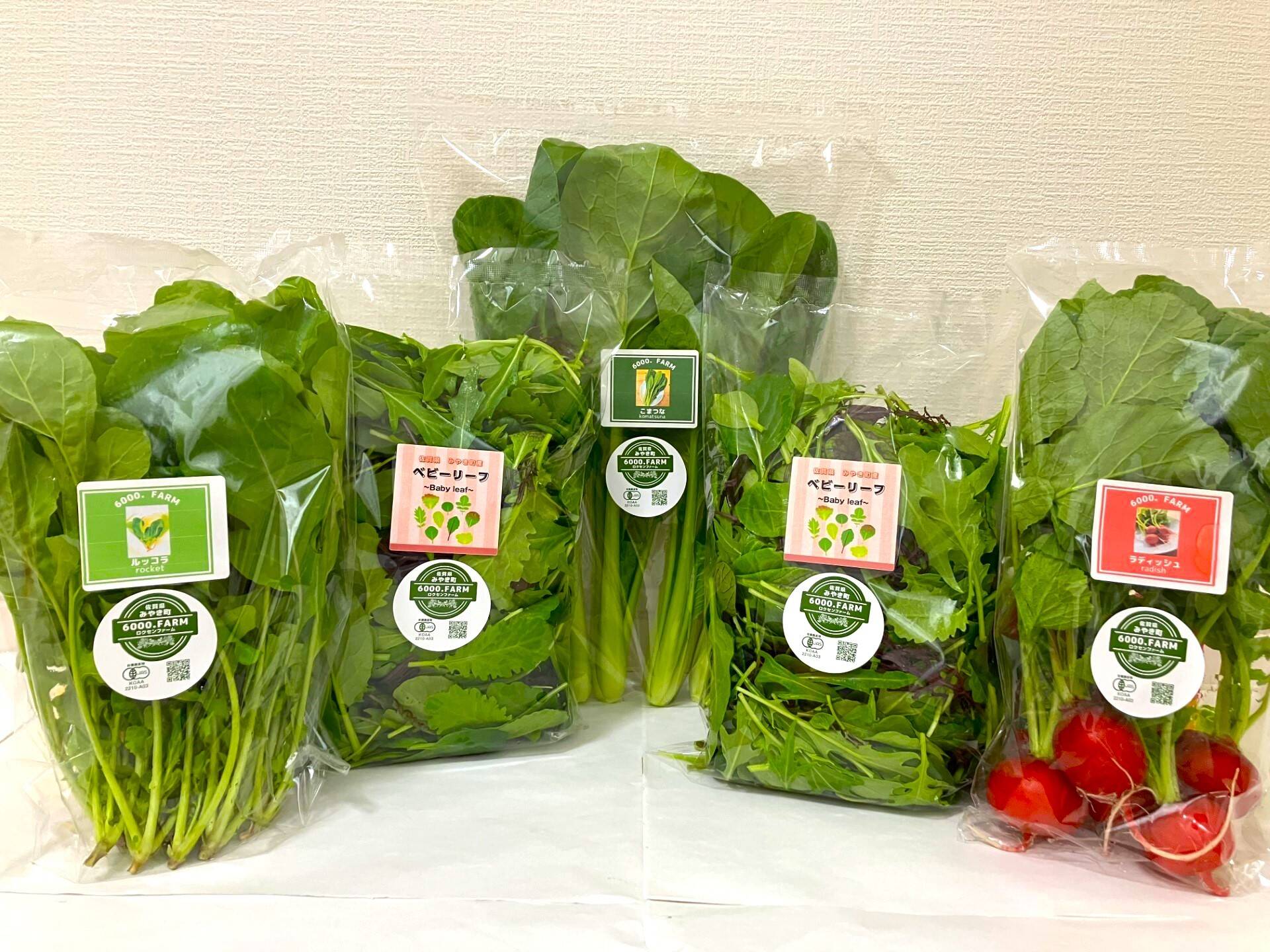ロクセンファームのお試し野菜セット！：佐賀県産の野菜セット｜食べ