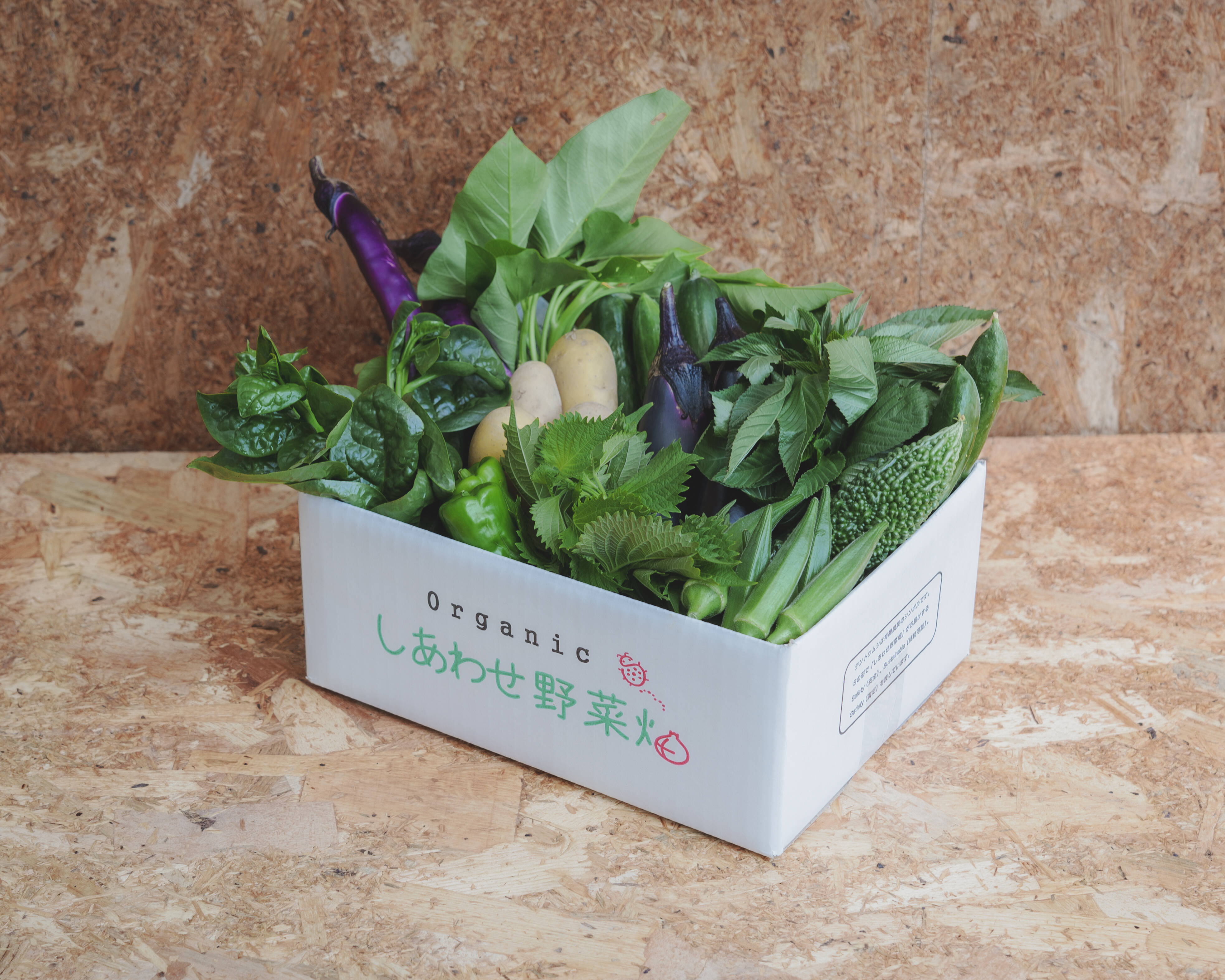 規格外増量】オーガニック野菜「シェフLセット」しあわせ野菜畑：静岡