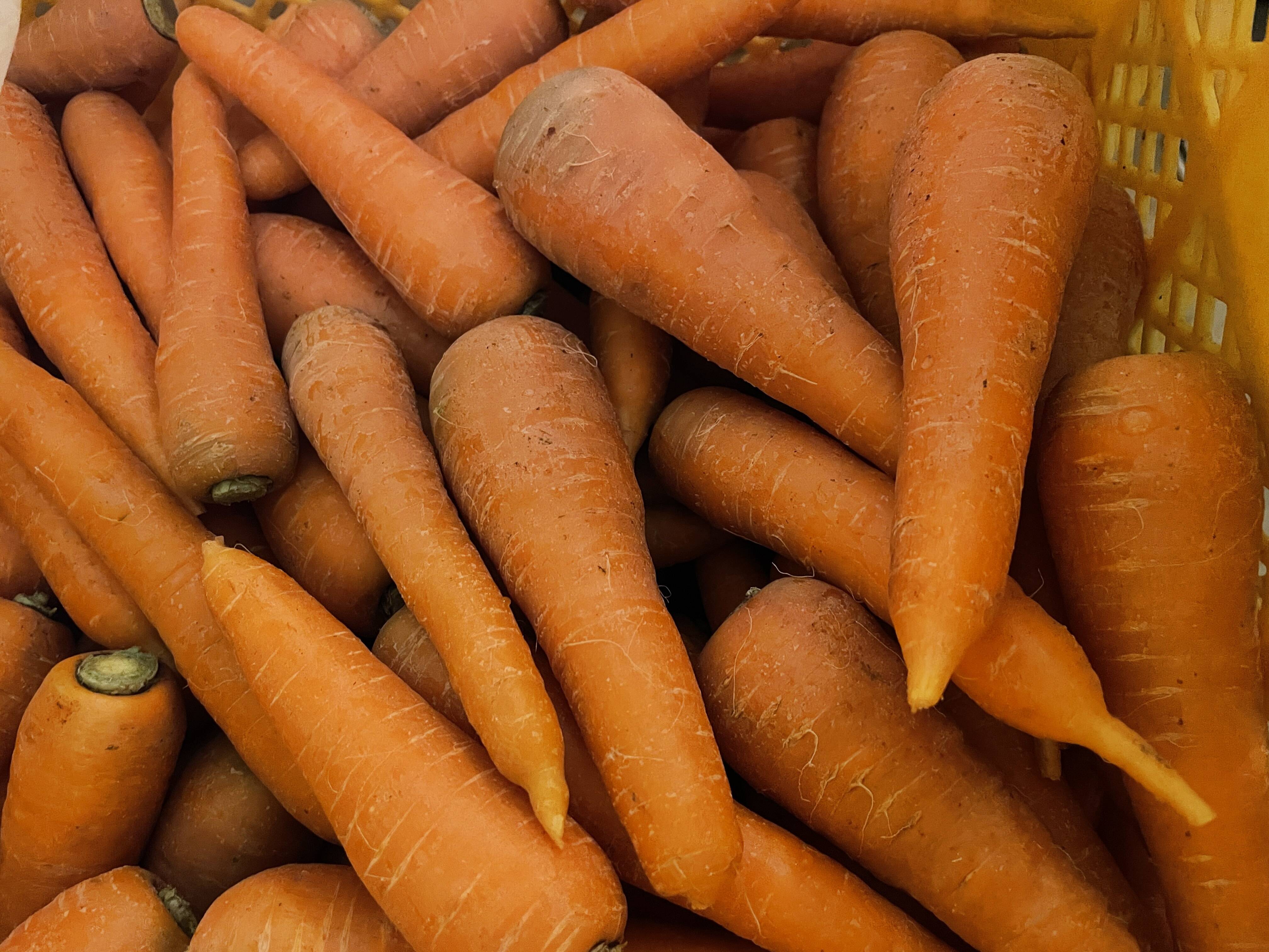 jas認証有機栽培人参規格外品(大、小、きず、われ) 5㎏ ジュースなどに