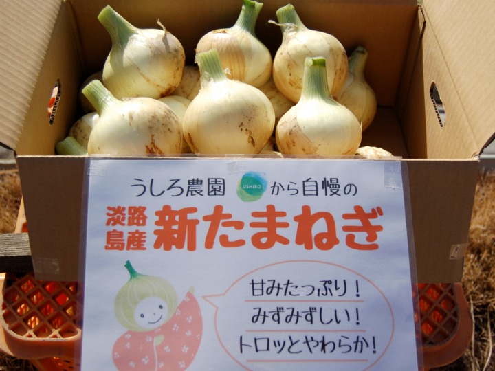 農薬・栽培期間中不使用北海道産☆新鮮たまねぎたっぷり約5kg 名作 - 野菜