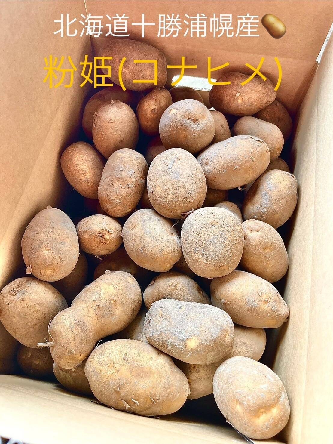 愛され食され40年『雪夏稚くんじゃがいも20kg』熟成コナヒメver